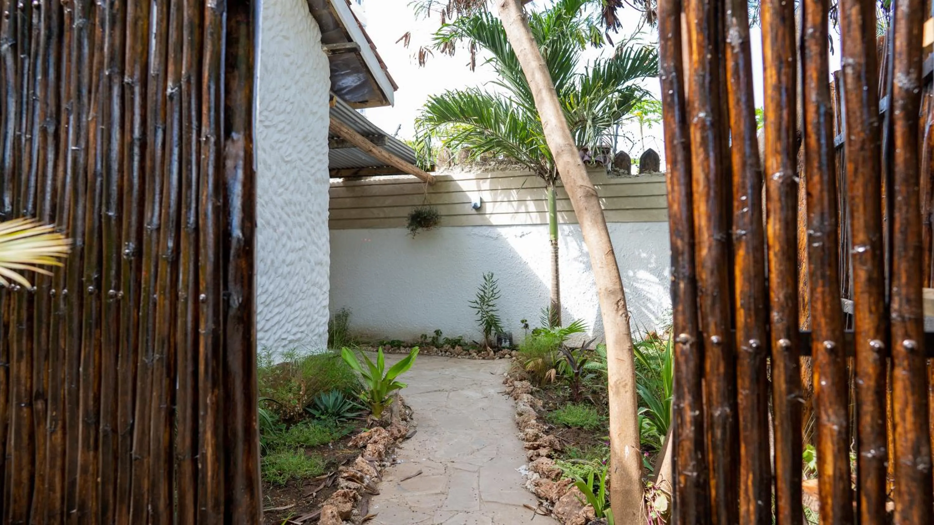 Day in Tulia House Backpackers