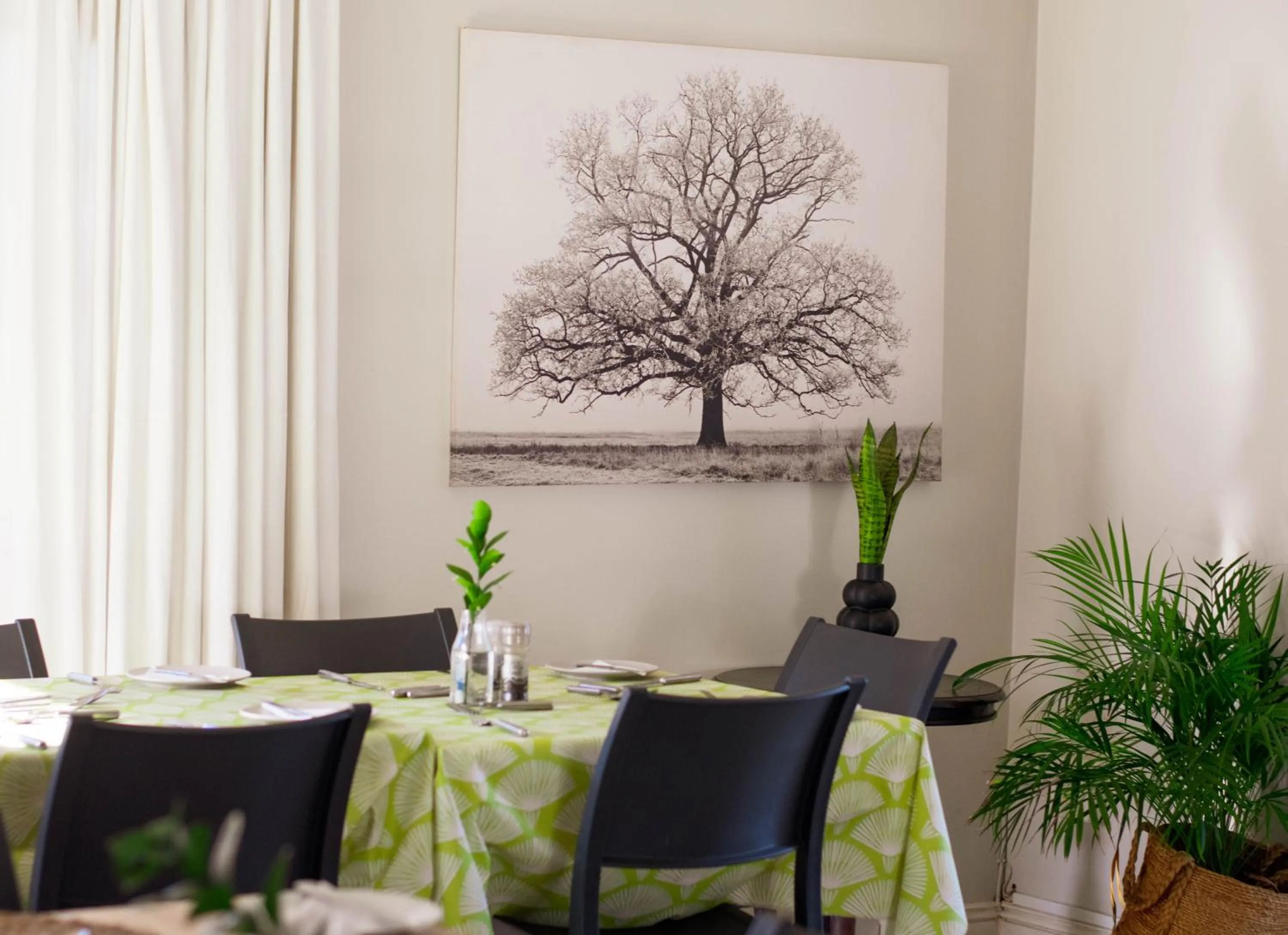 Area and facilities in African Sands B&B