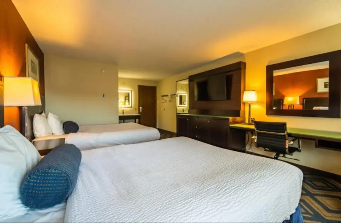 Quadruple Room in The Patch Lodge Quadruple Room in The Patch Lodge