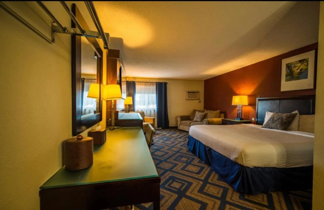 Bed in The Patch Lodge