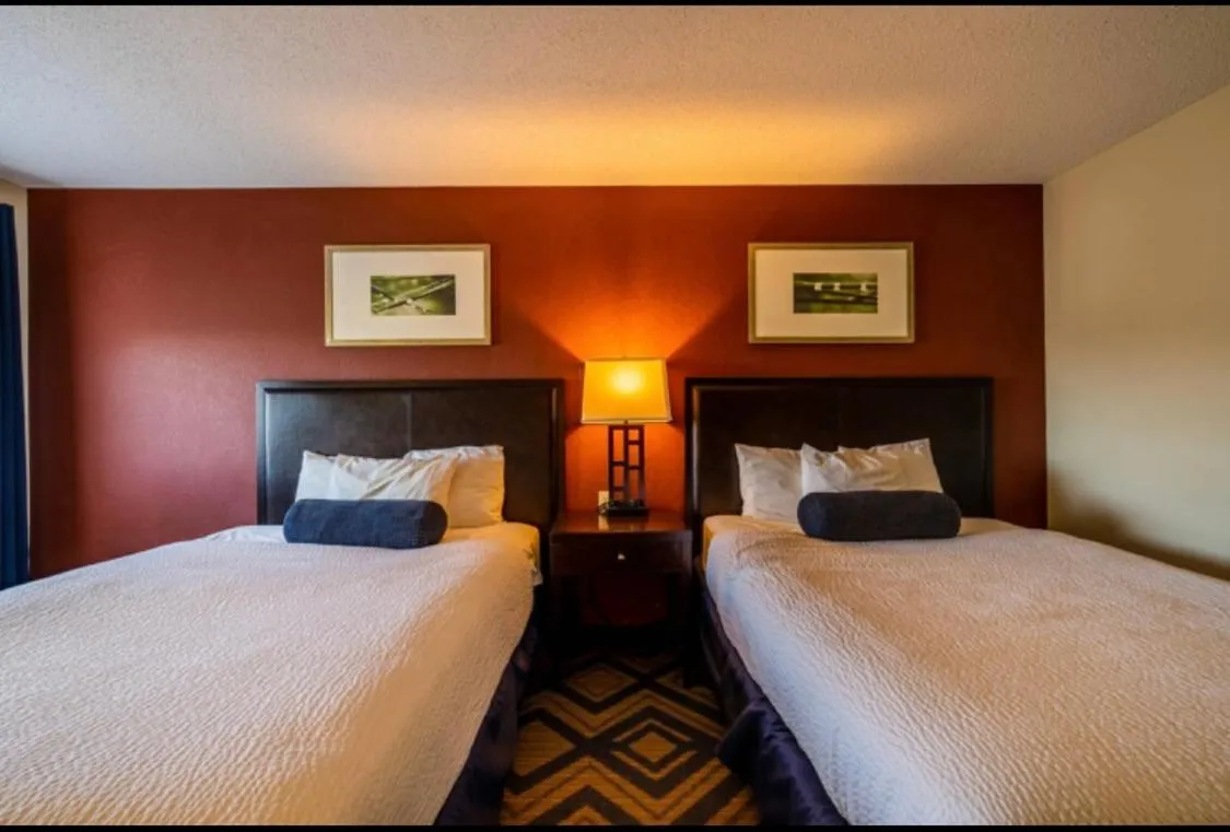 Bed in The Patch Lodge