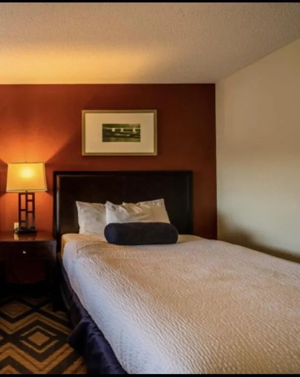 Bed in The Patch Lodge