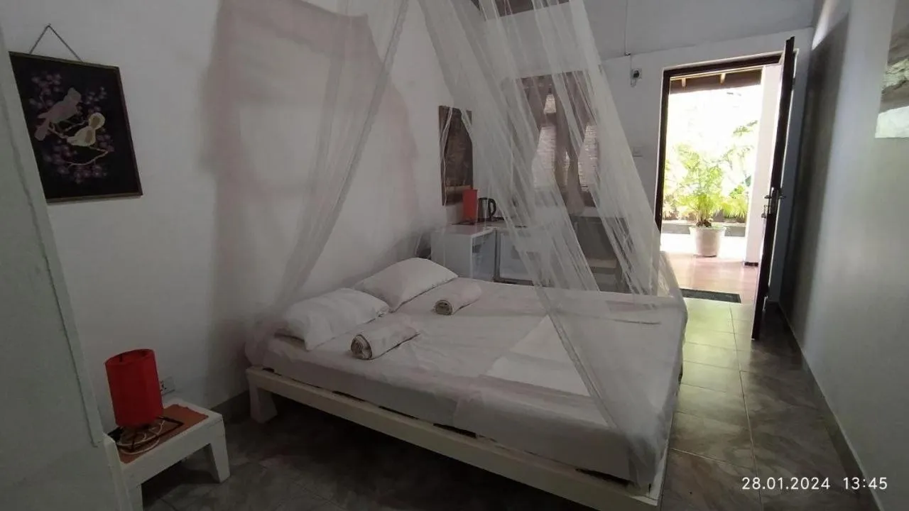 Photo of the whole room in Full Moon Resort