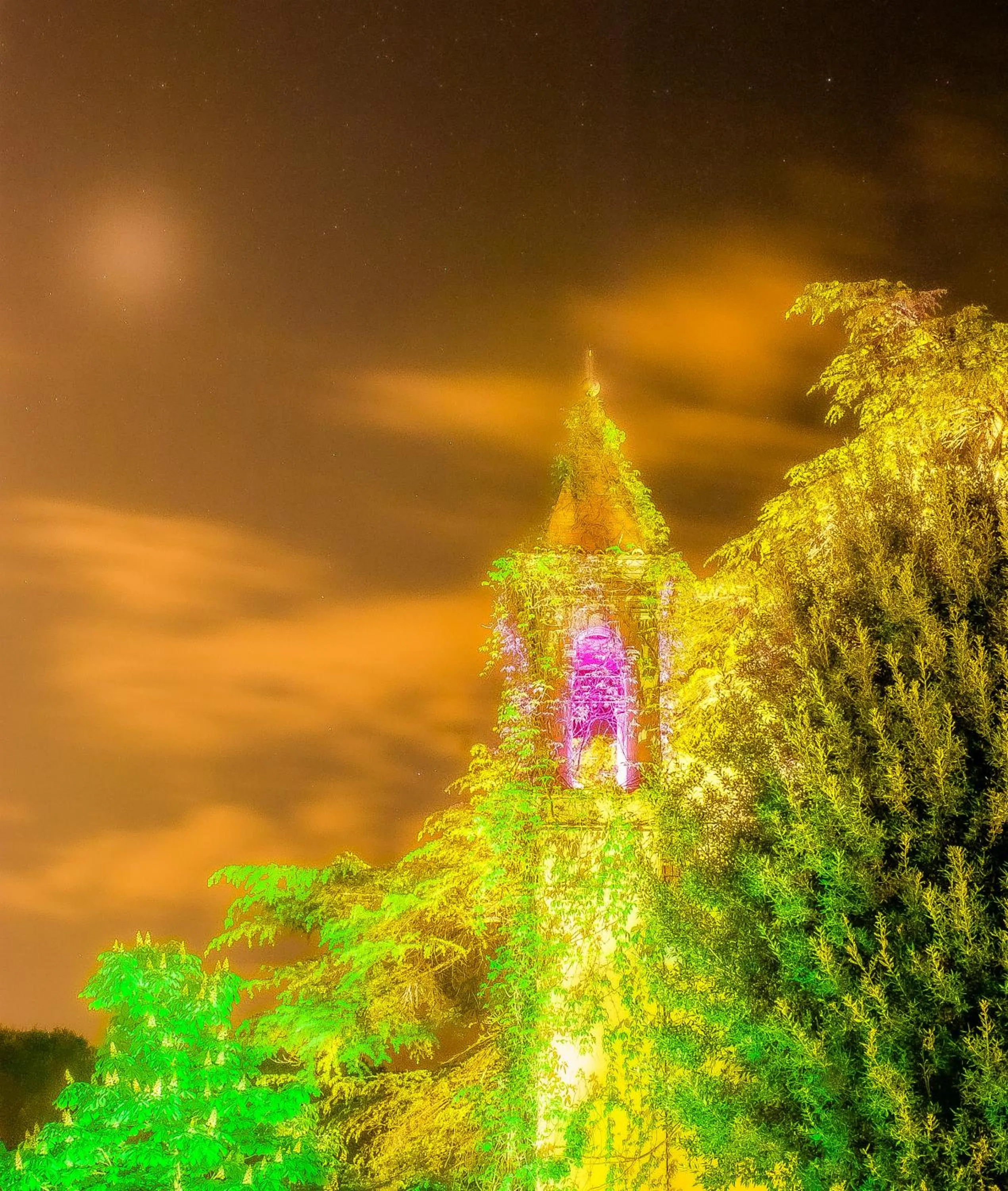 Garden in Castello di Montalbano