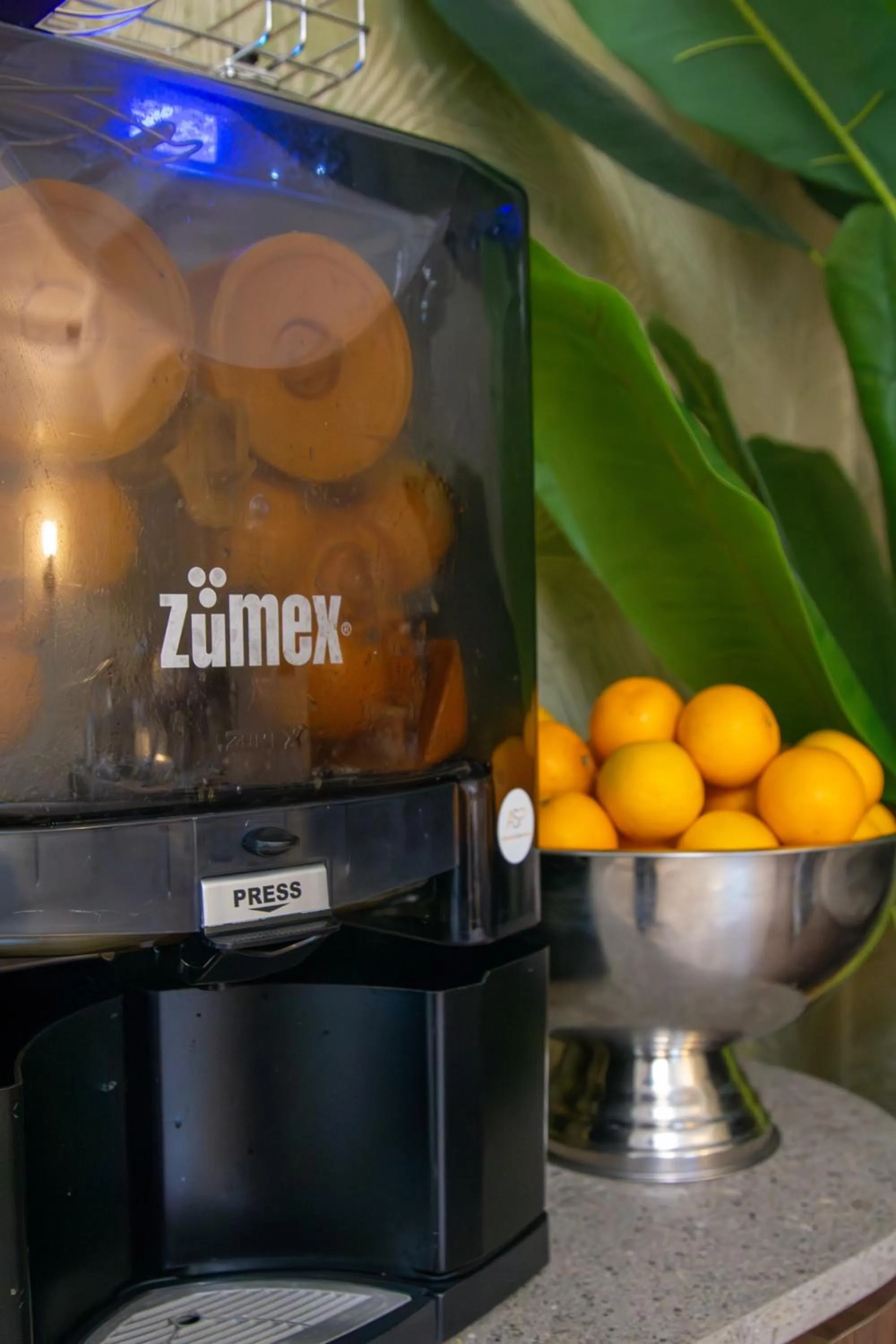 Strandhotel de Logerij Renesse