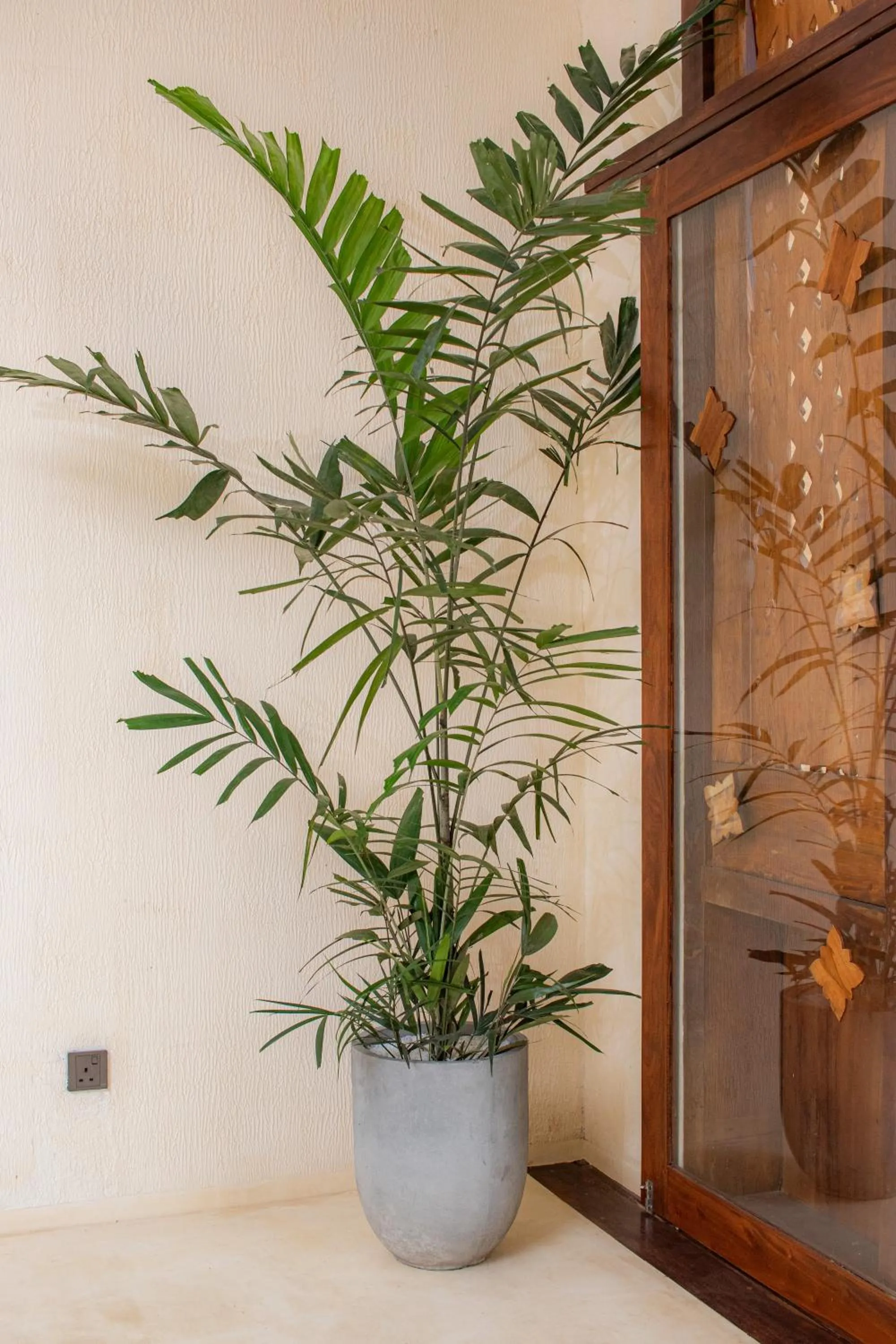 Spicepeek Boutique Hotel CMB Airport