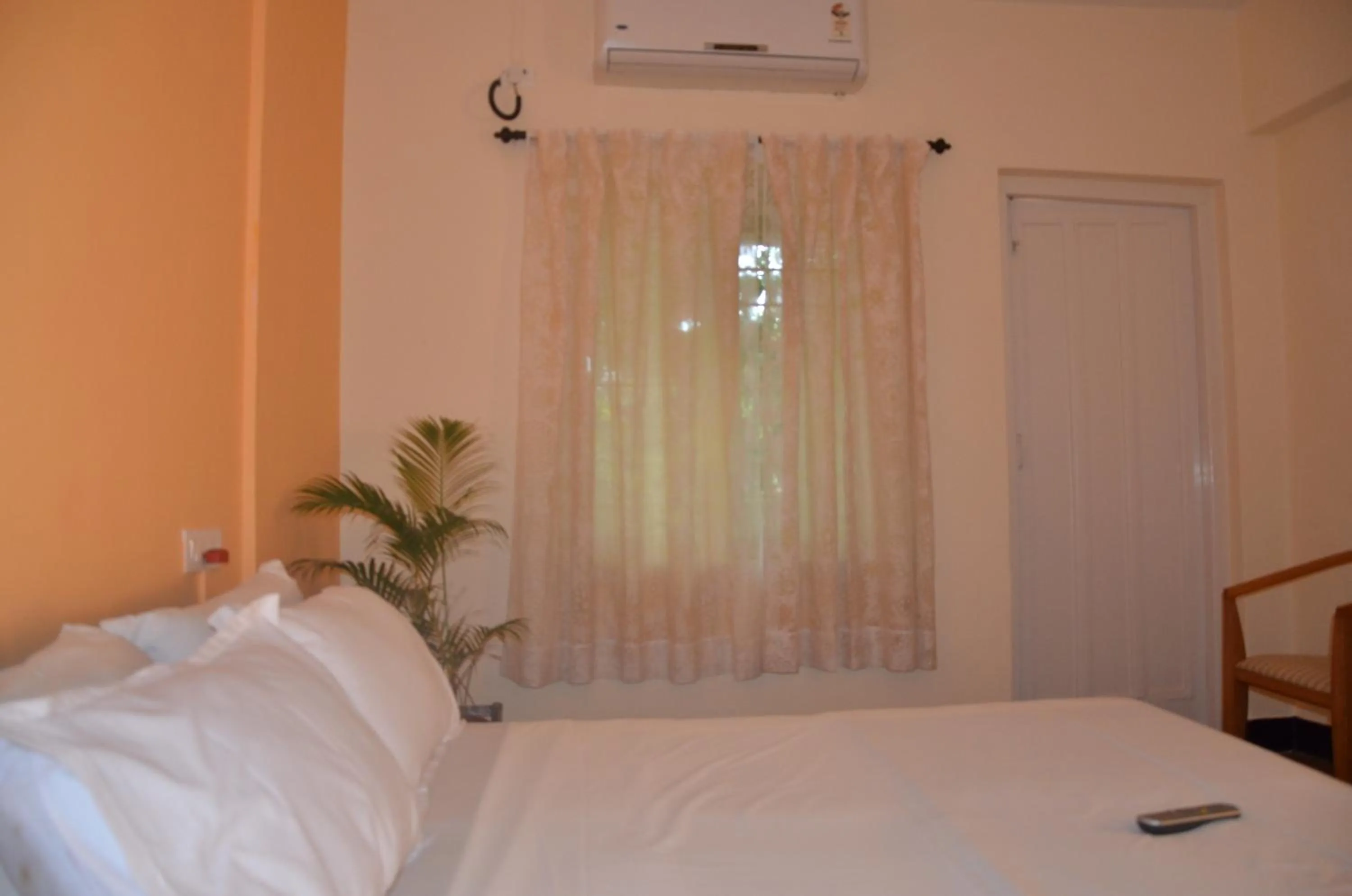 Photo of the whole room, Bed in Hotel Ferreira Resort