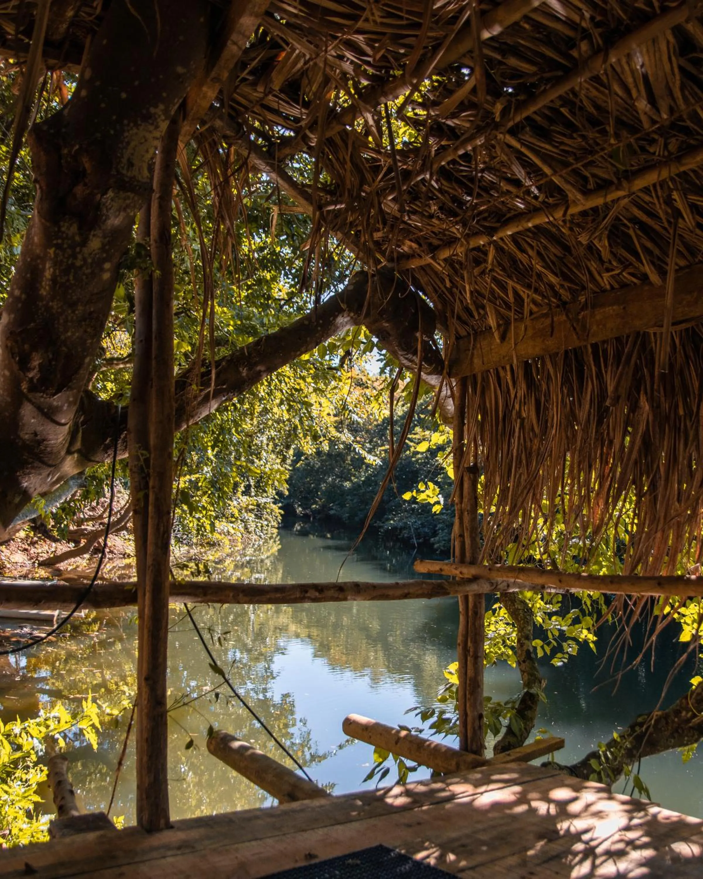 Natural landscape in Nativ Lodge and Spa