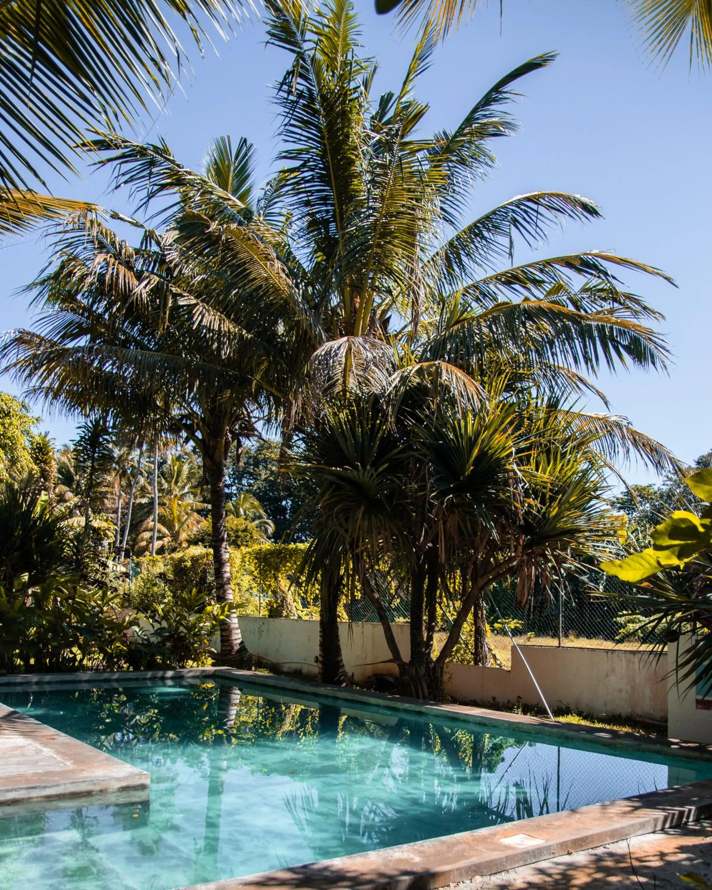 Day in Nativ Lodge and Spa