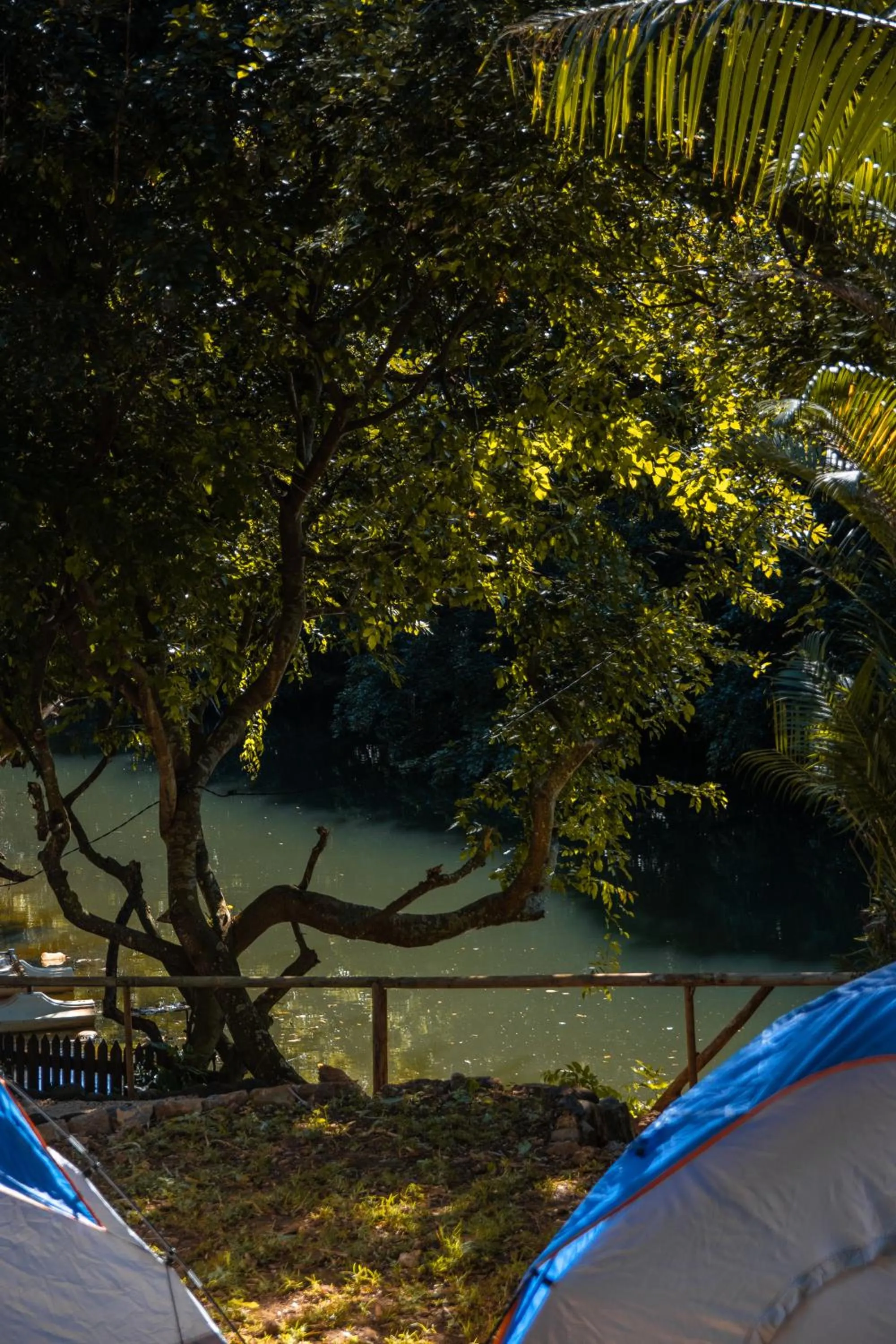 Day in Nativ Lodge and Spa