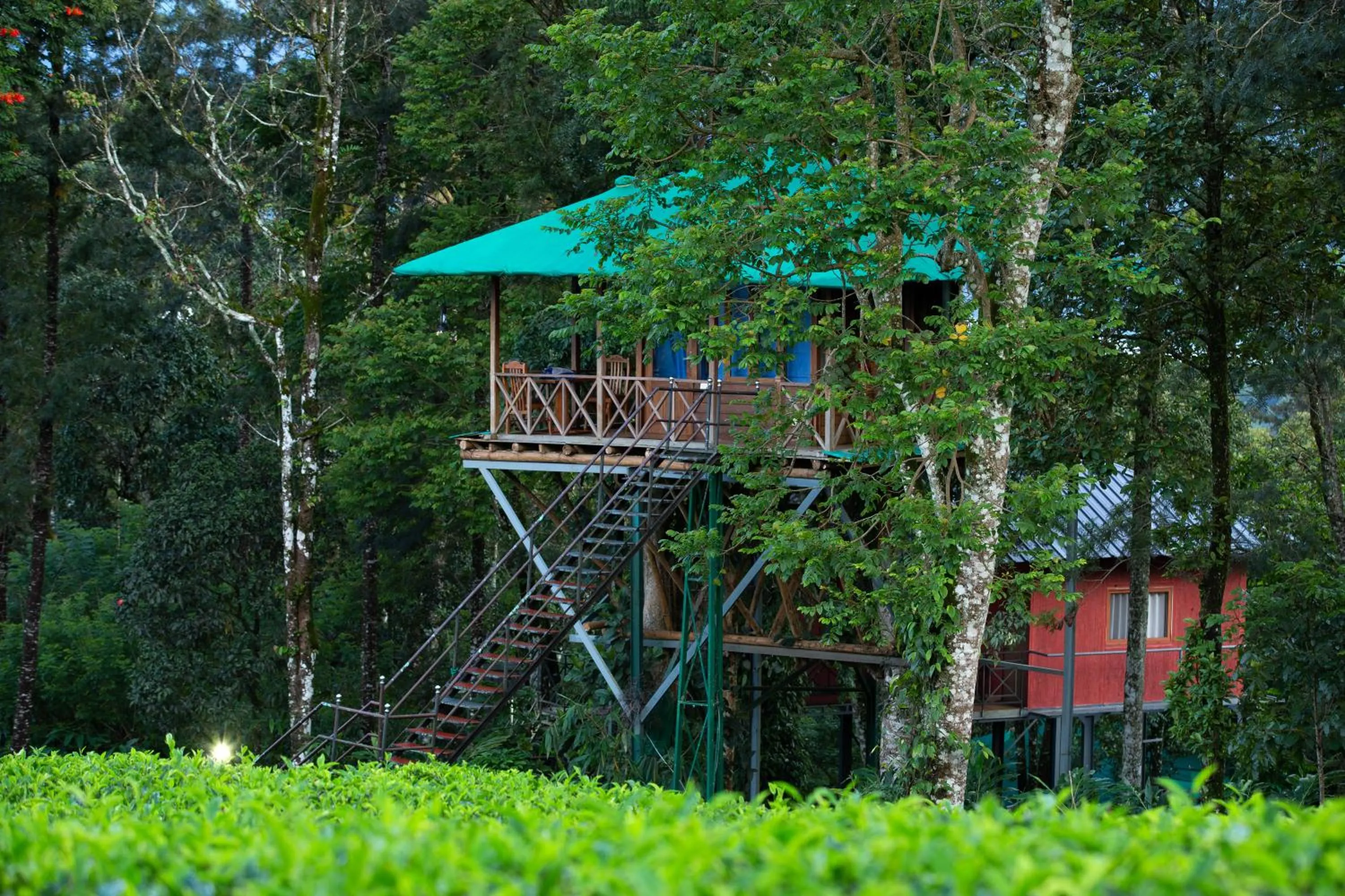 Dream Catcher Plantation Resort