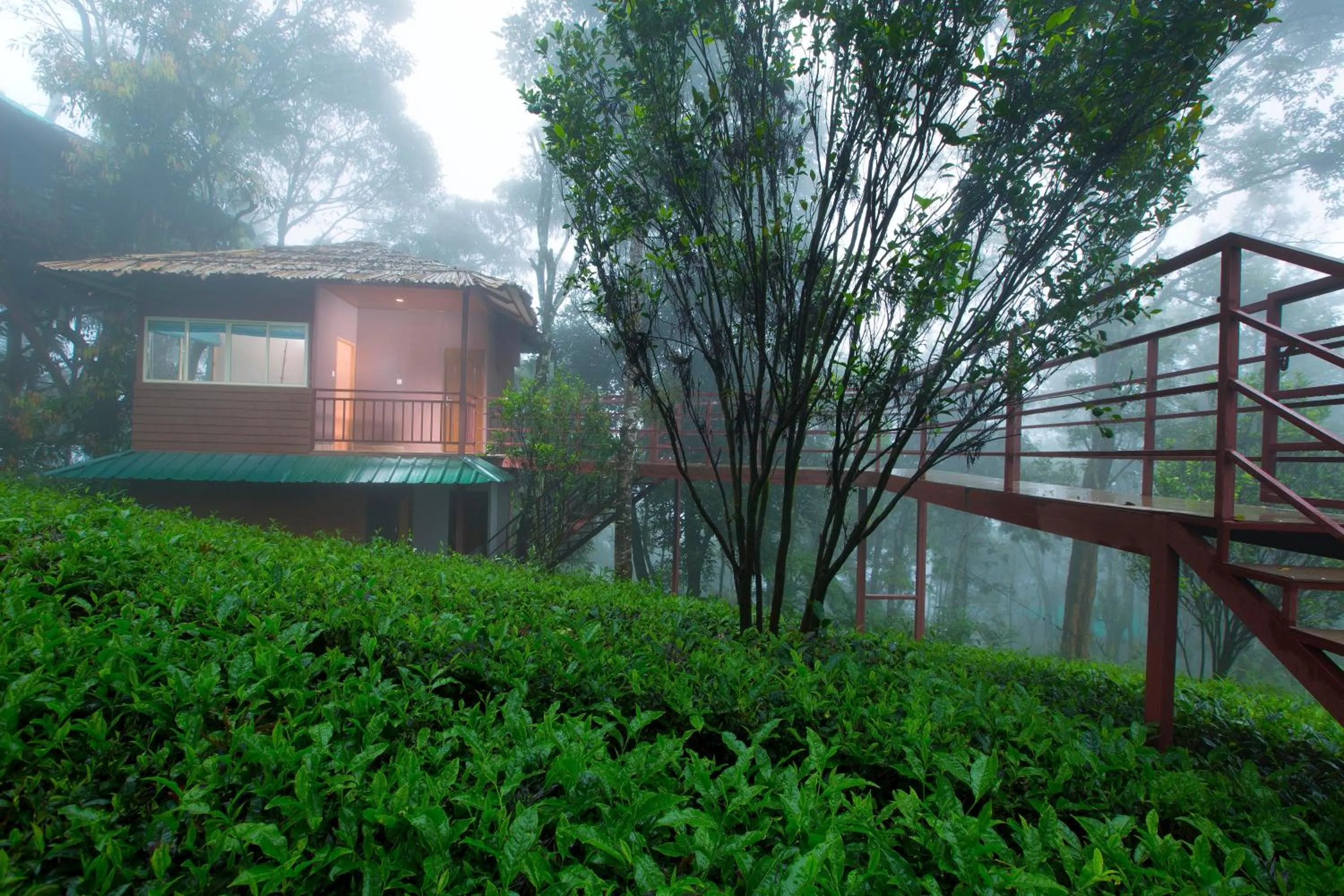 Dream Catcher Plantation Resort