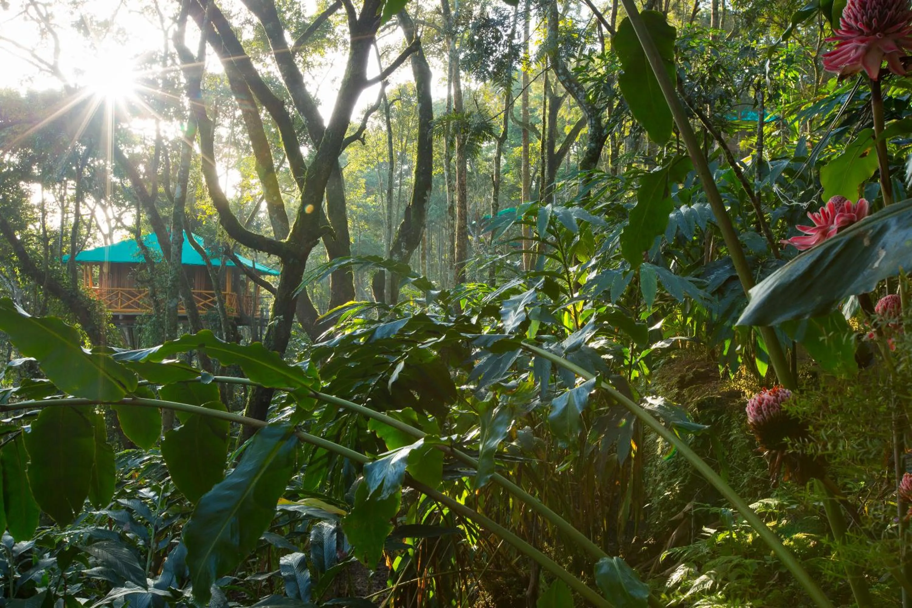 Dream Catcher Plantation Resort