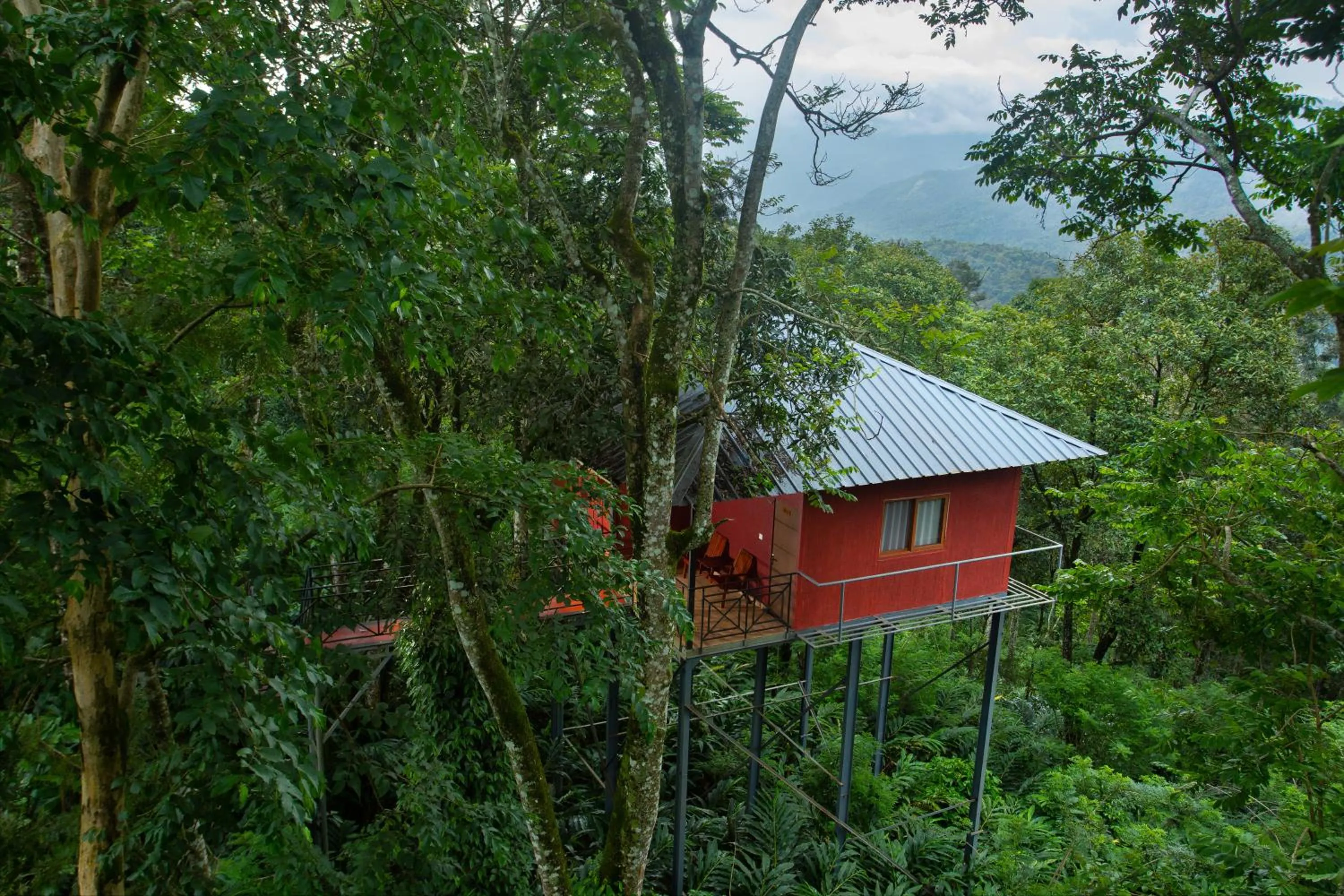 Dream Catcher Plantation Resort