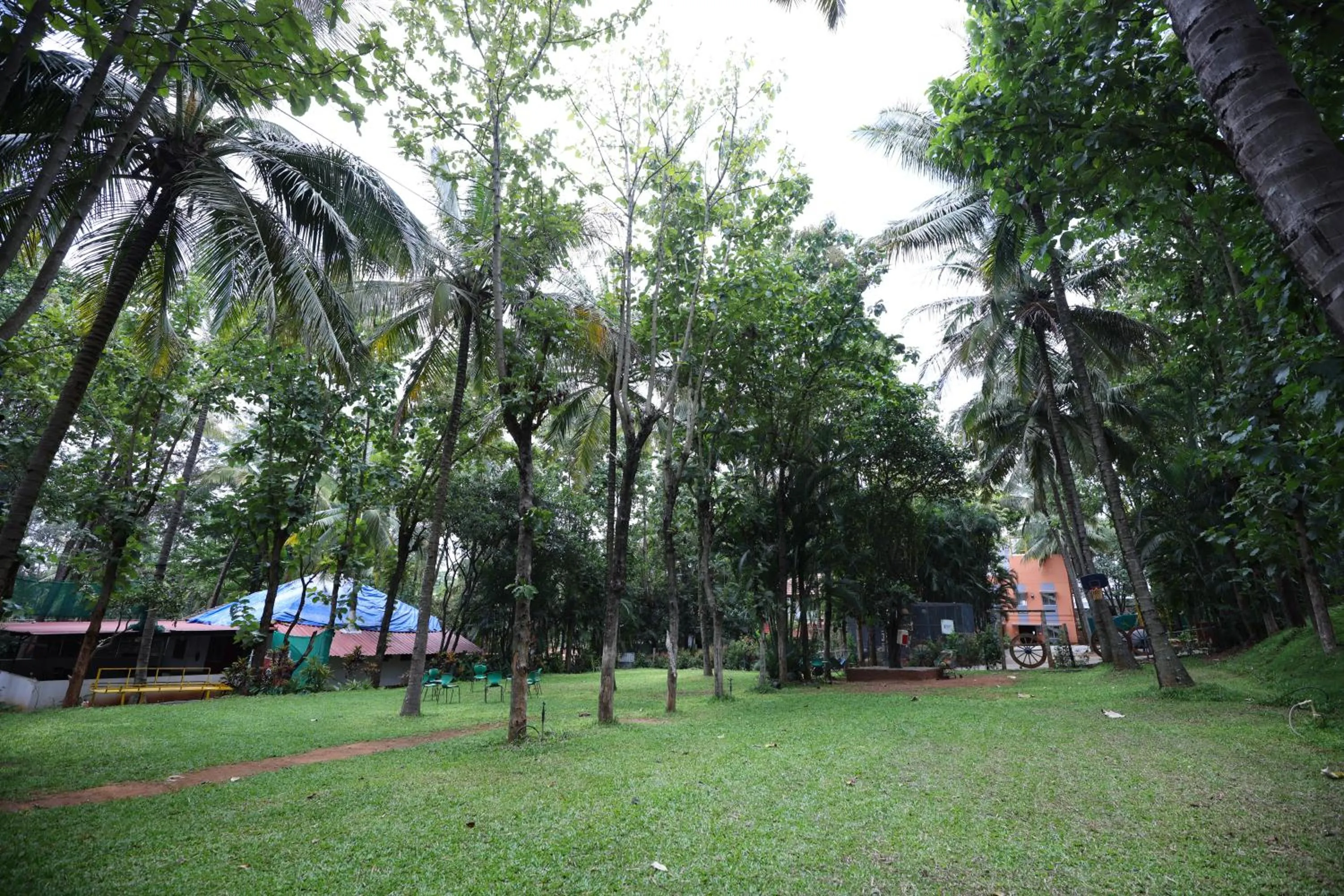 Garden in Nisarga Resort