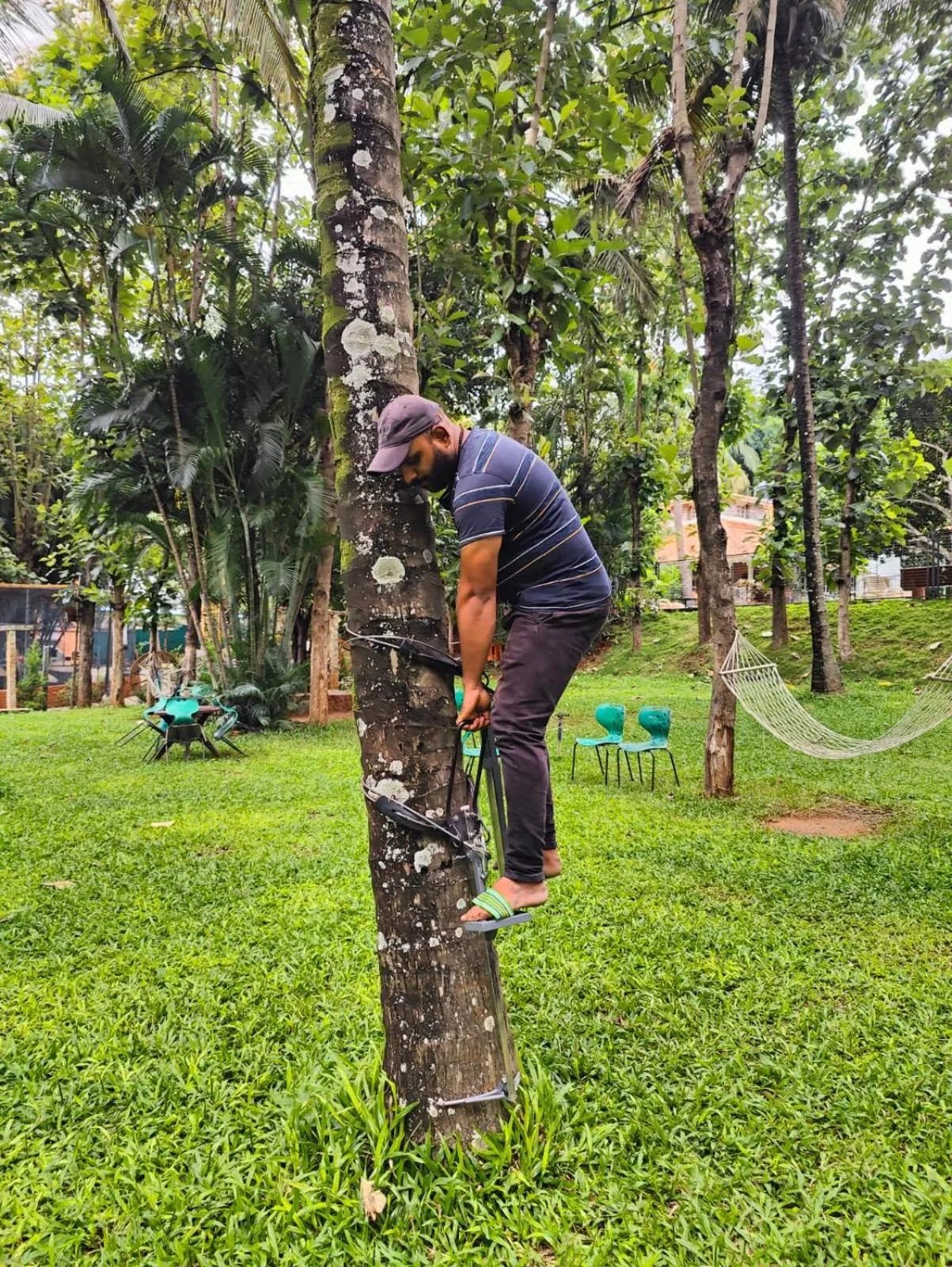 Activities in Nisarga Resort