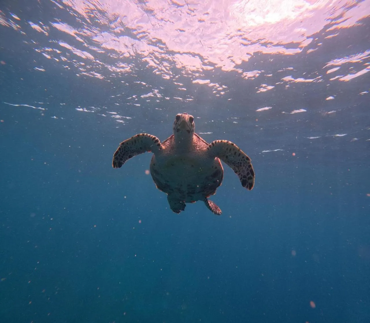Activities in Raalhu Fonu Maldives