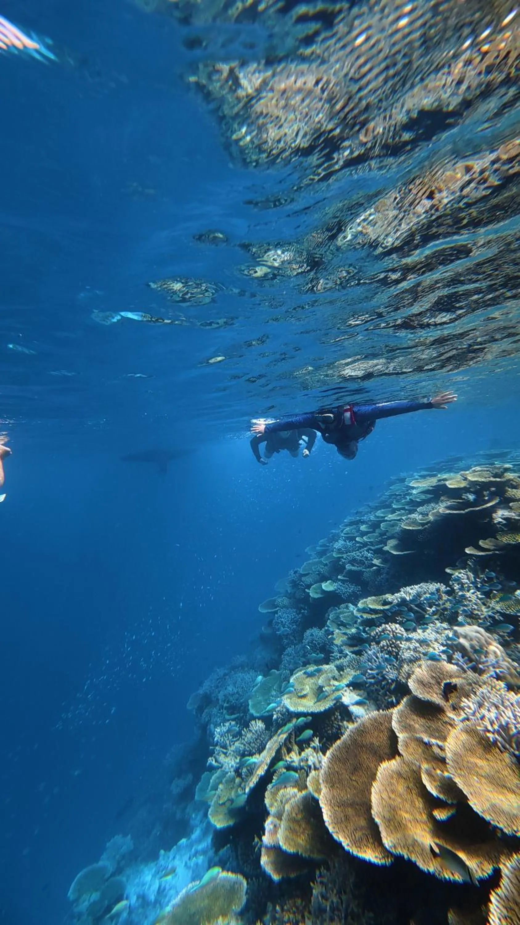 Activities in Raalhu Fonu Maldives