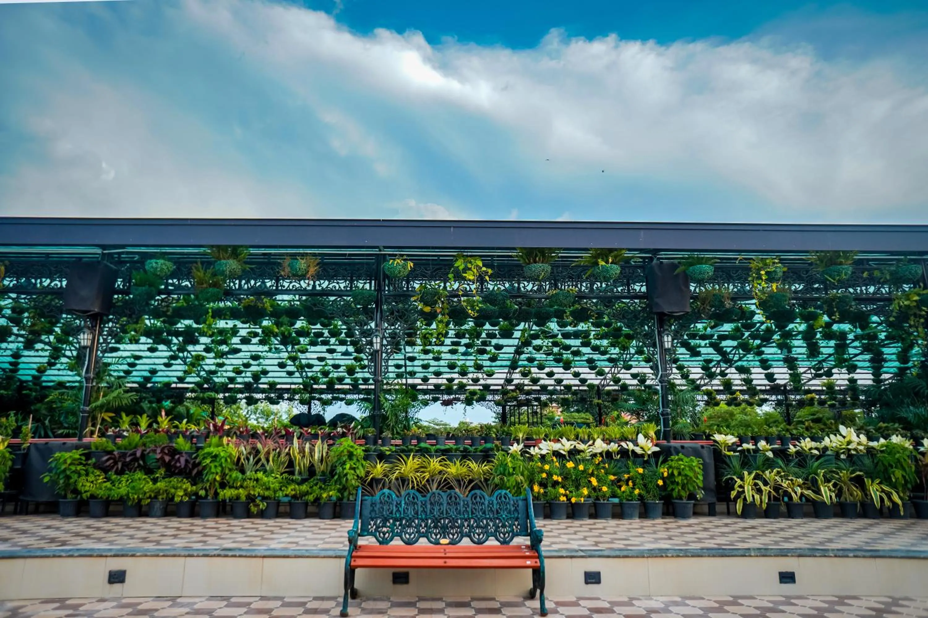 Day in Mayfair Purnea