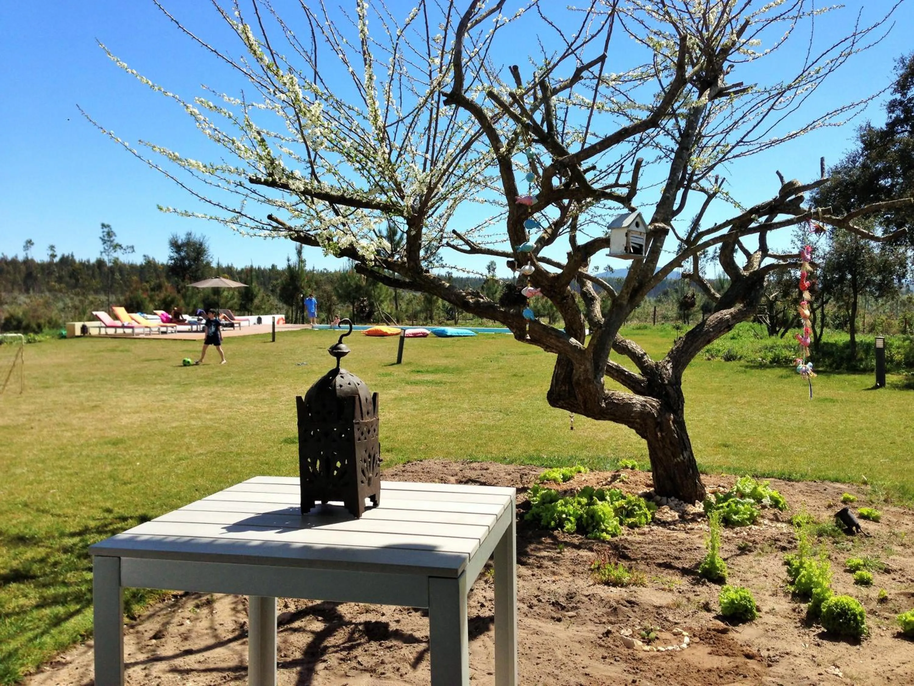 Garden in Pe no Monte
