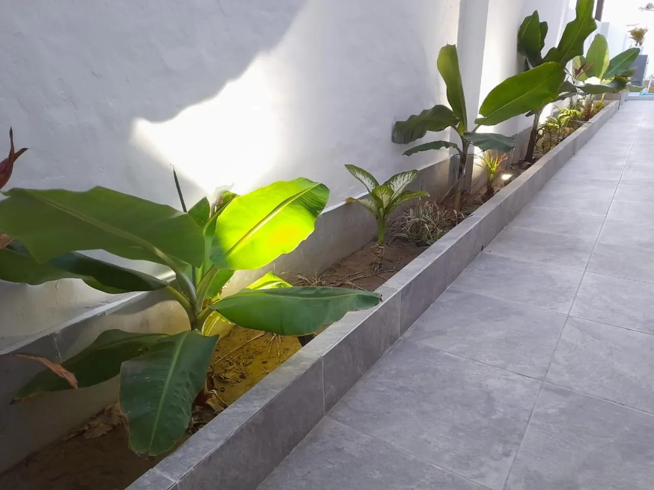 Garden view in Las Fragatas Casa Hotel