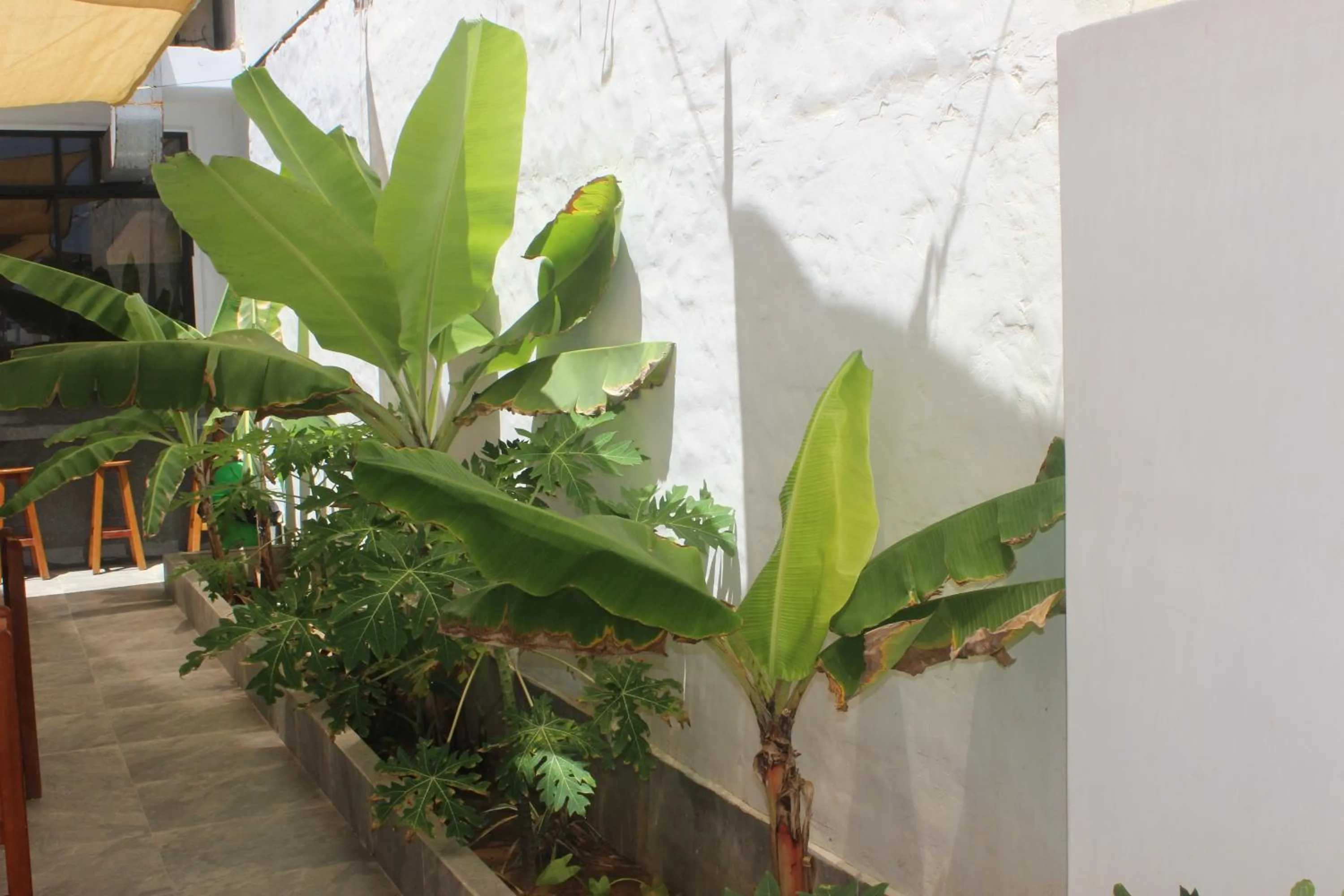 Las Fragatas Casa Hotel