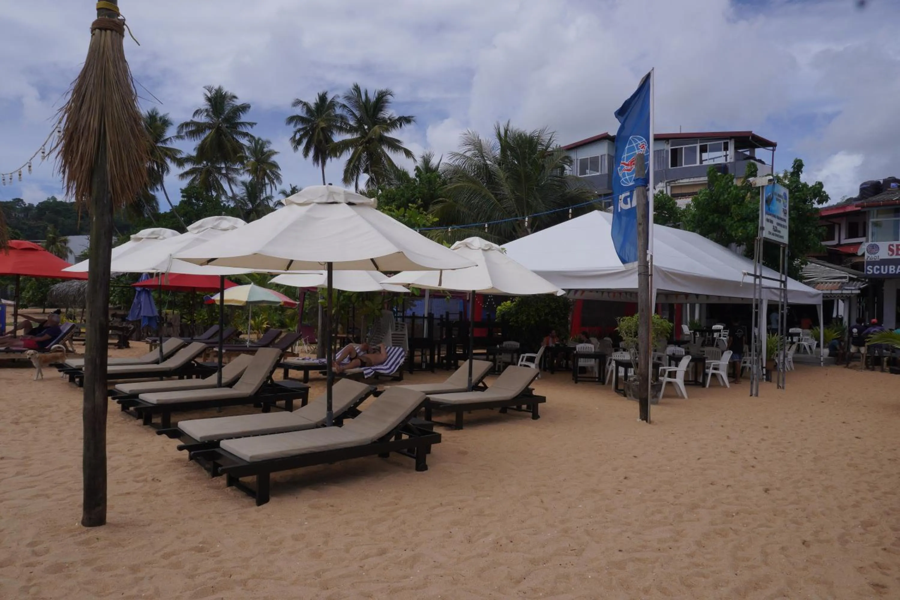 Beach in SURF UNA BEACH HOTEL
