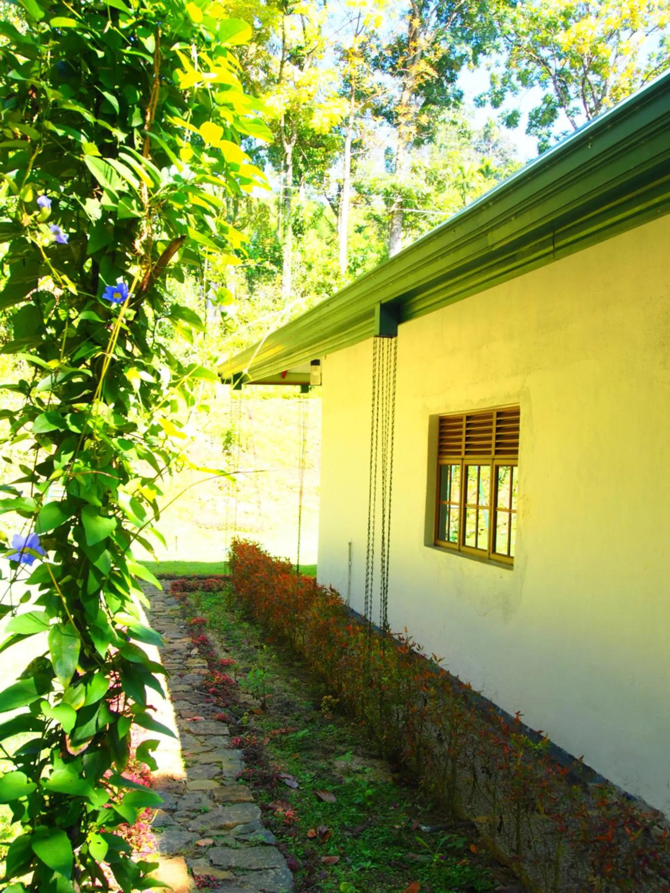 Garden in TEARAMB HOLIDAY BUNGALOW