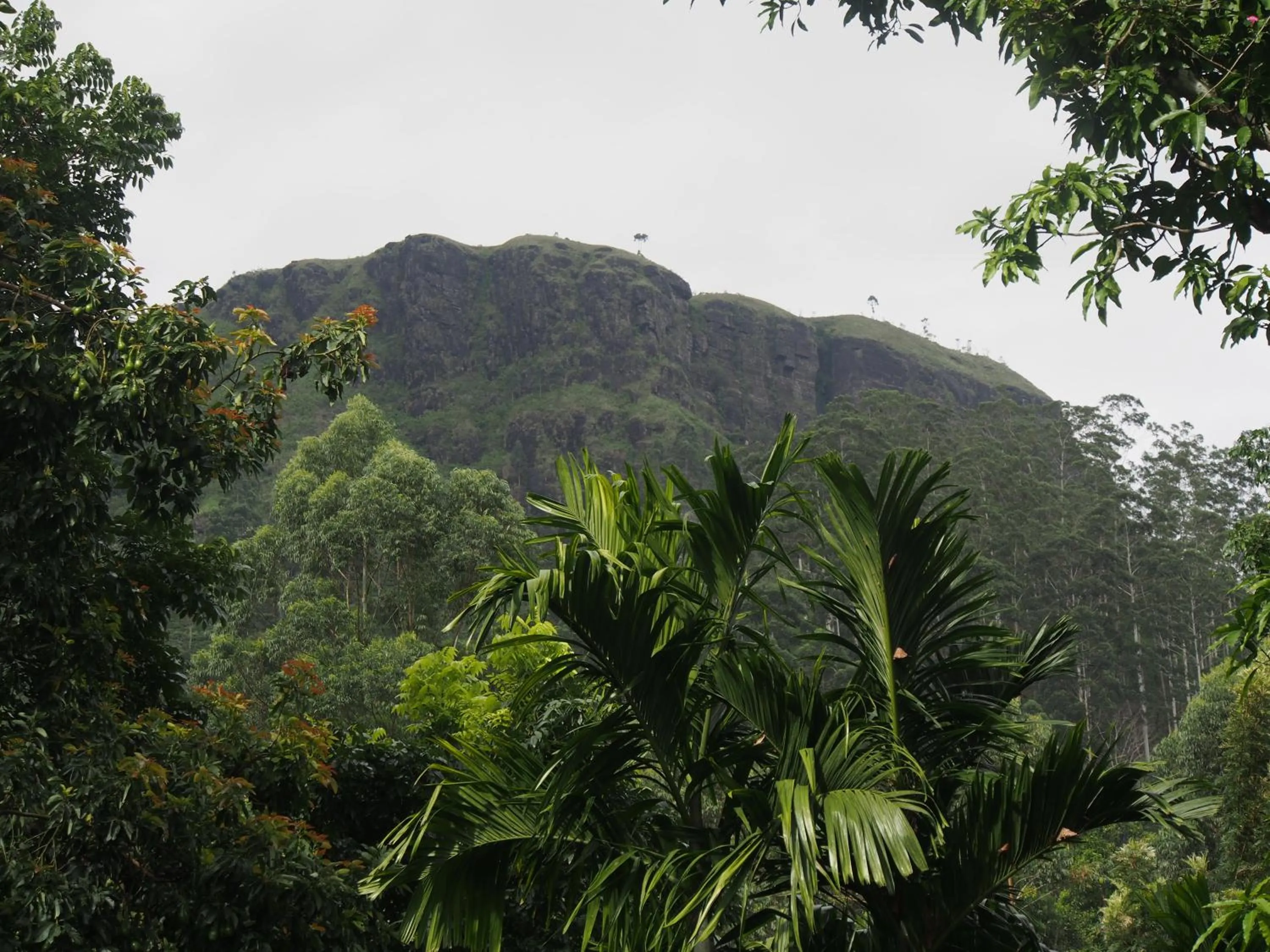 TEARAMB HOLIDAY BUNGALOW