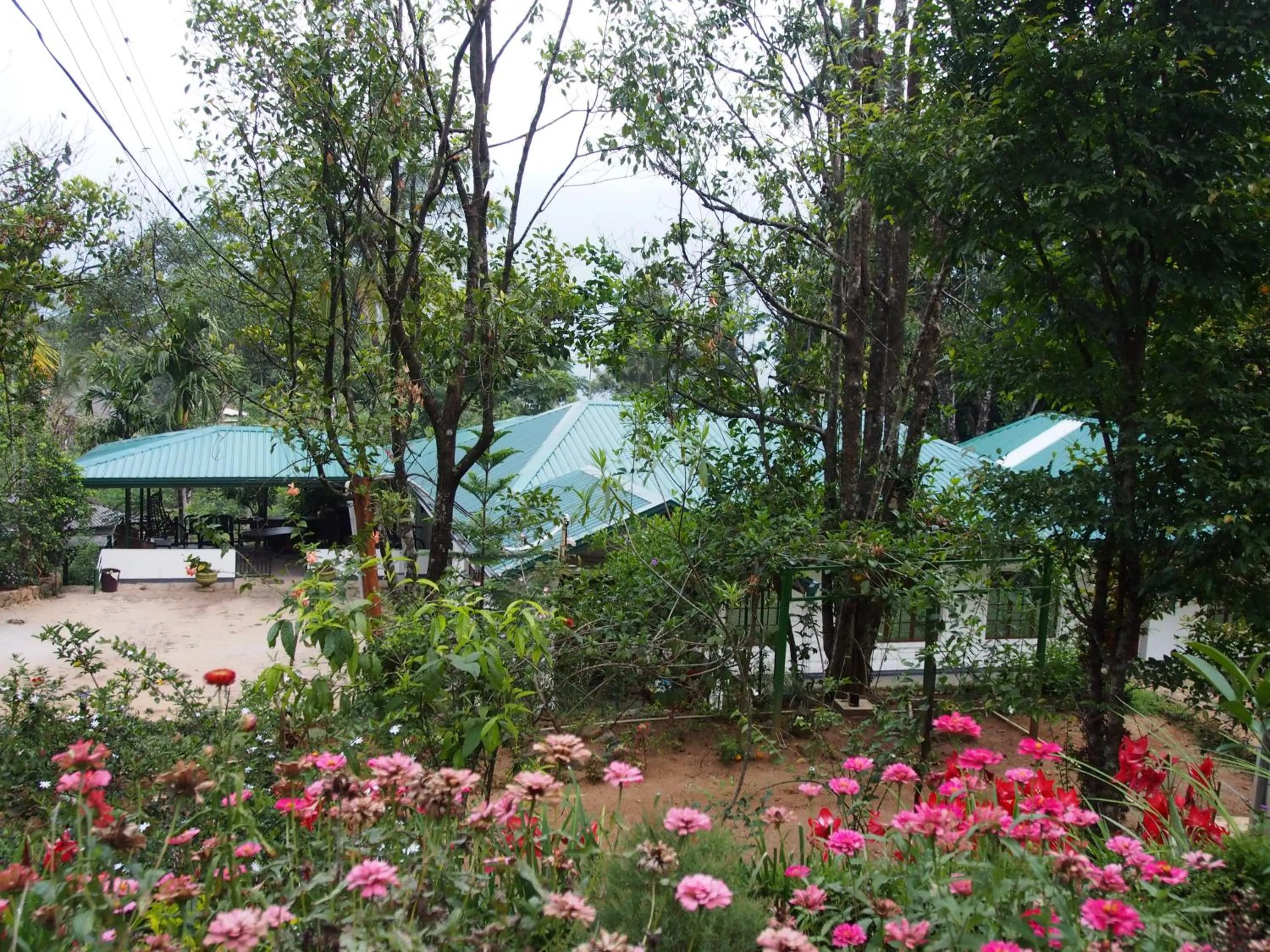 Garden in TEARAMB HOLIDAY BUNGALOW