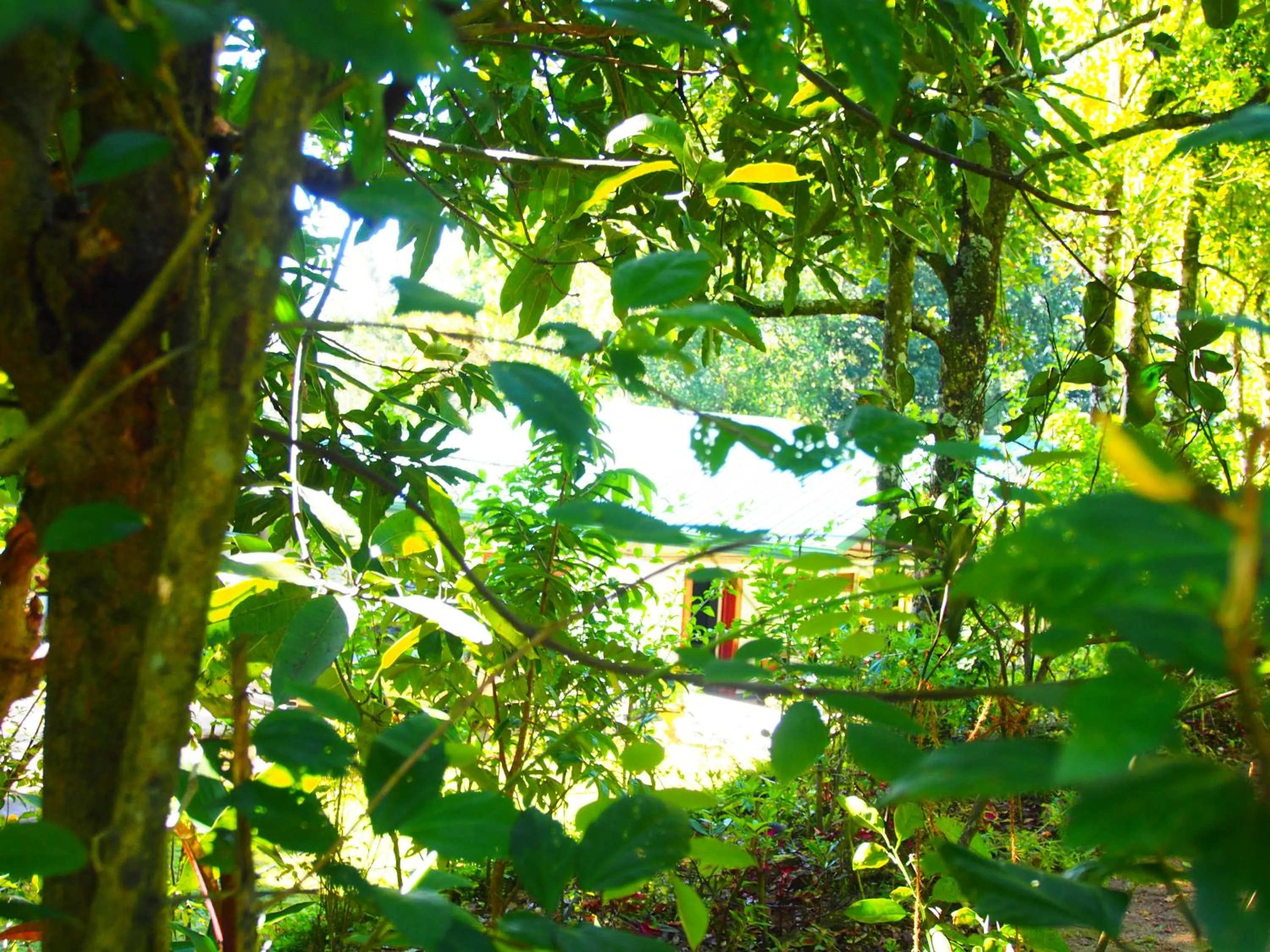 TEARAMB HOLIDAY BUNGALOW