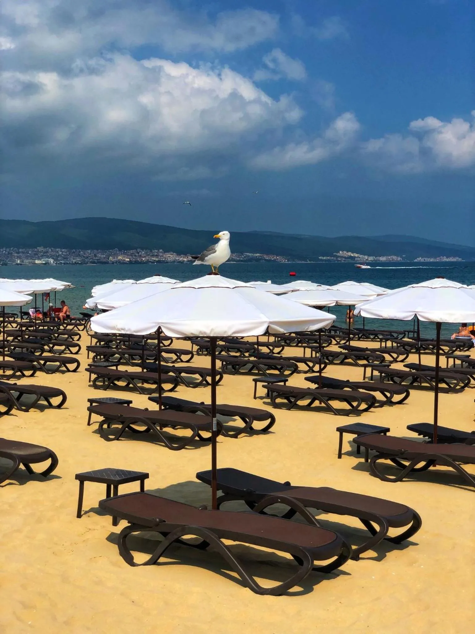 Beach in Flamingo Beach Hotel