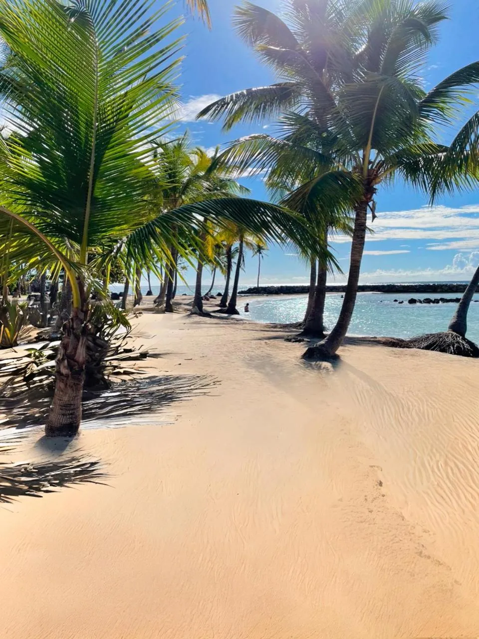 Beach in Appartement tout confort ! Au pied de la plage !