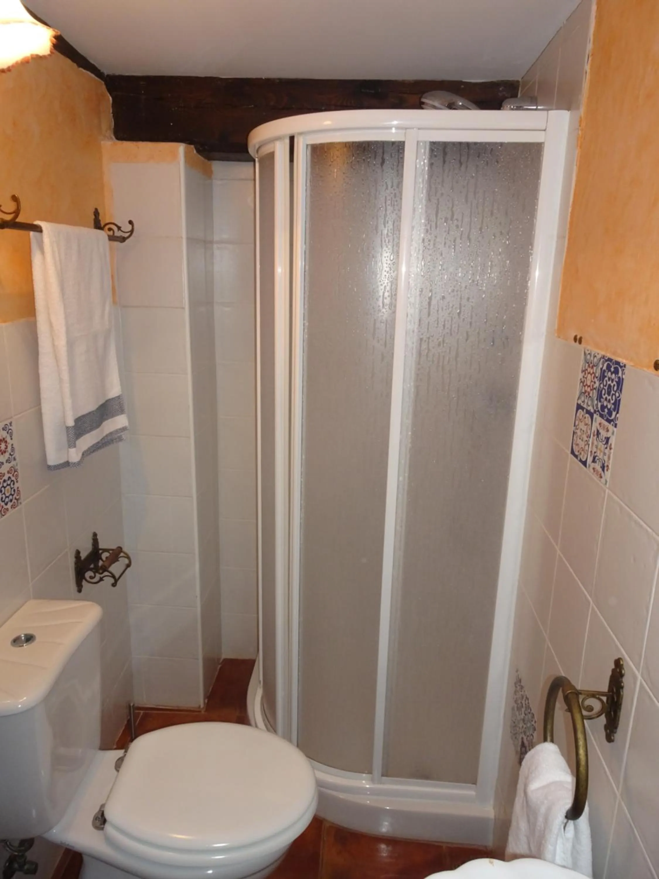 Shower in LA CASONA DE ESCALADA