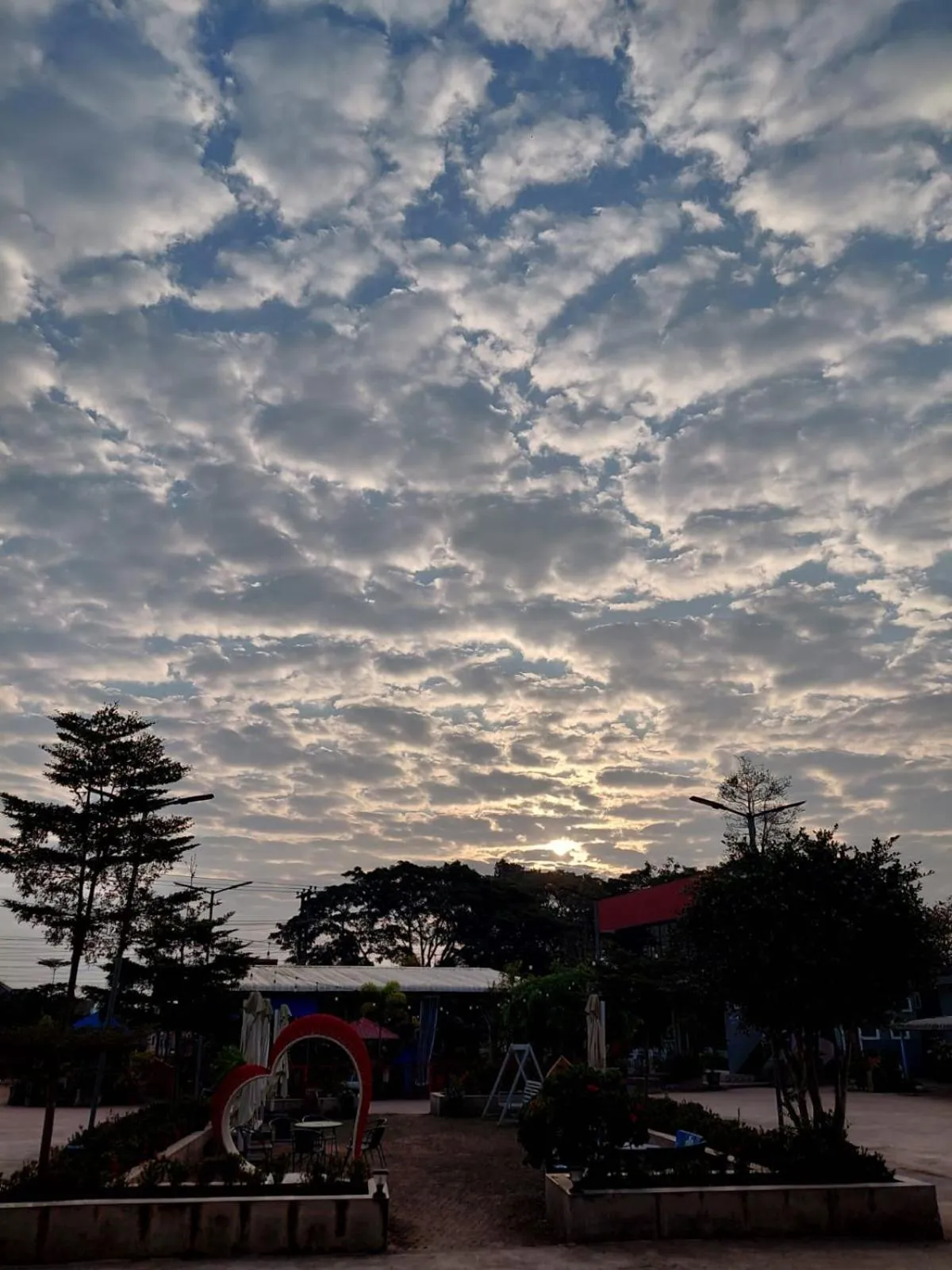 View (from property/room) in Tulip Hotel