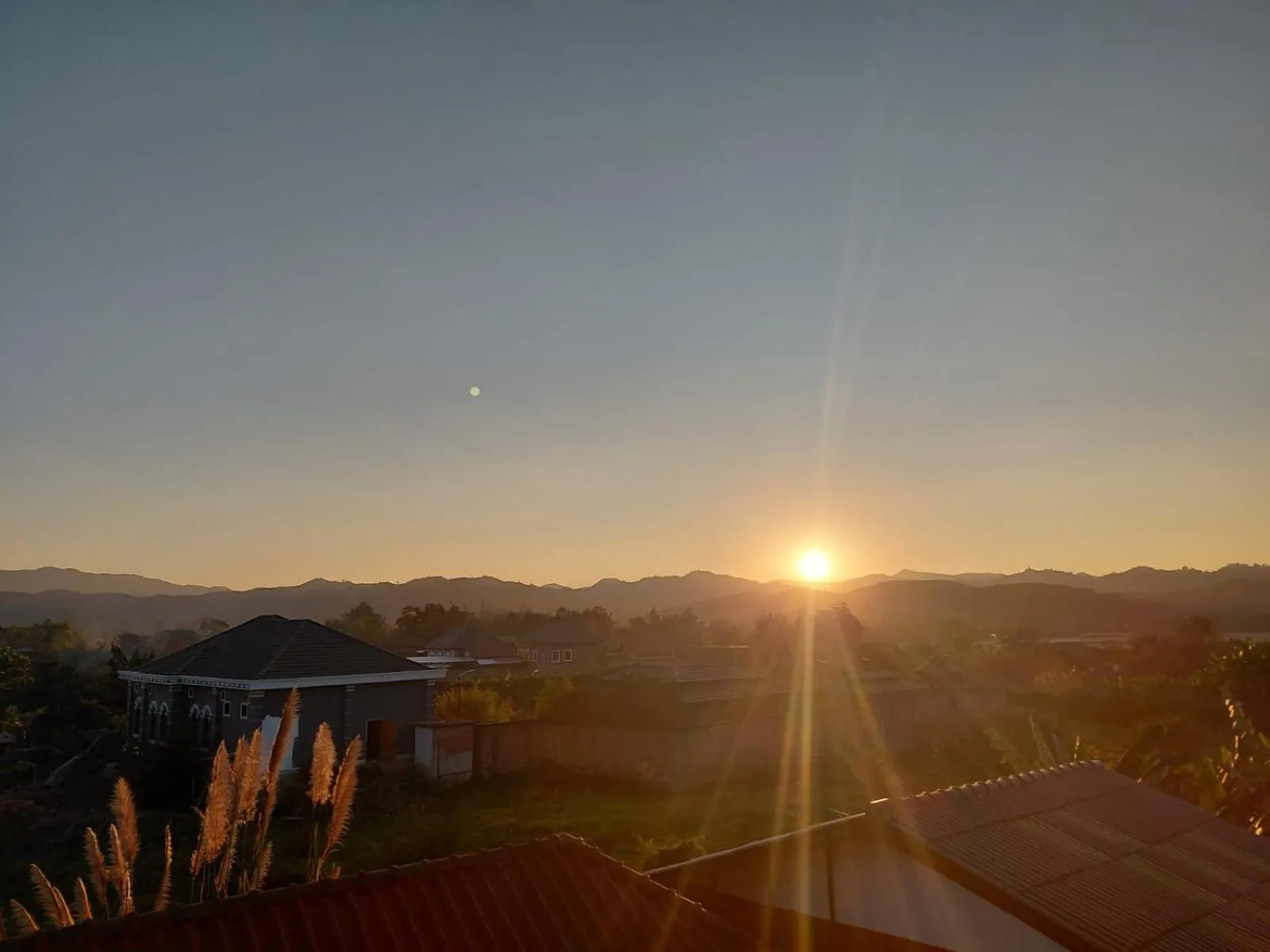 View (from property/room) in Tulip Hotel