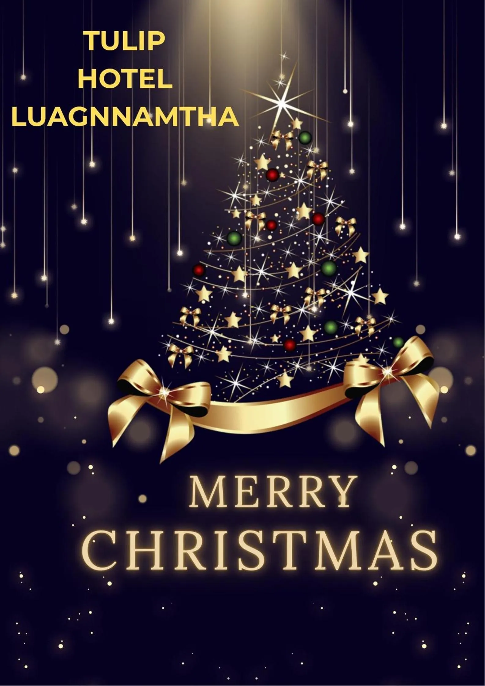 Photo of the whole room in Tulip Hotel