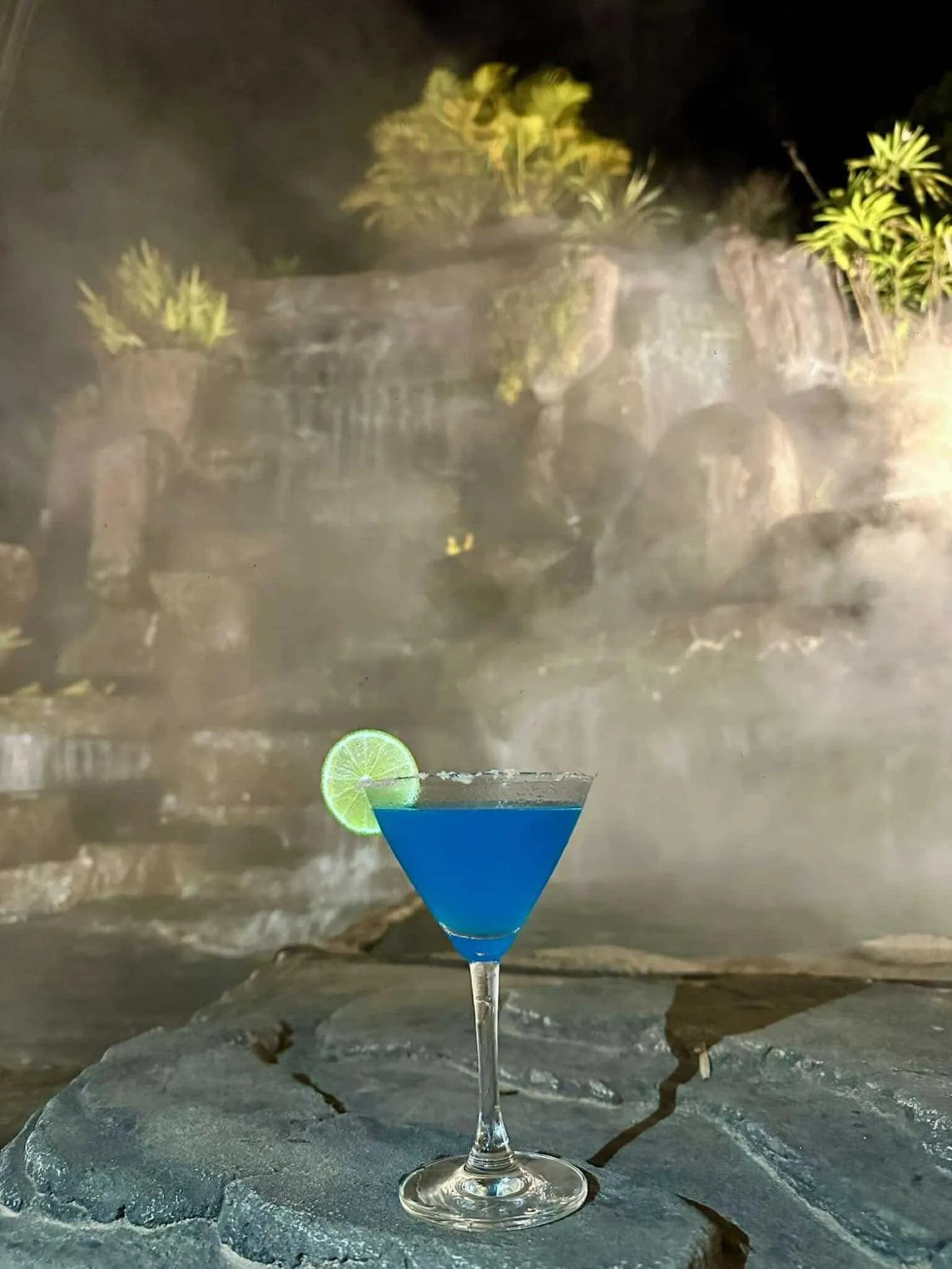 Lounge or bar in Tulip Hotel