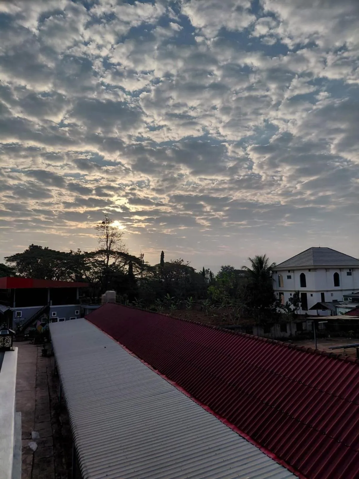 Sea view in Tulip Hotel