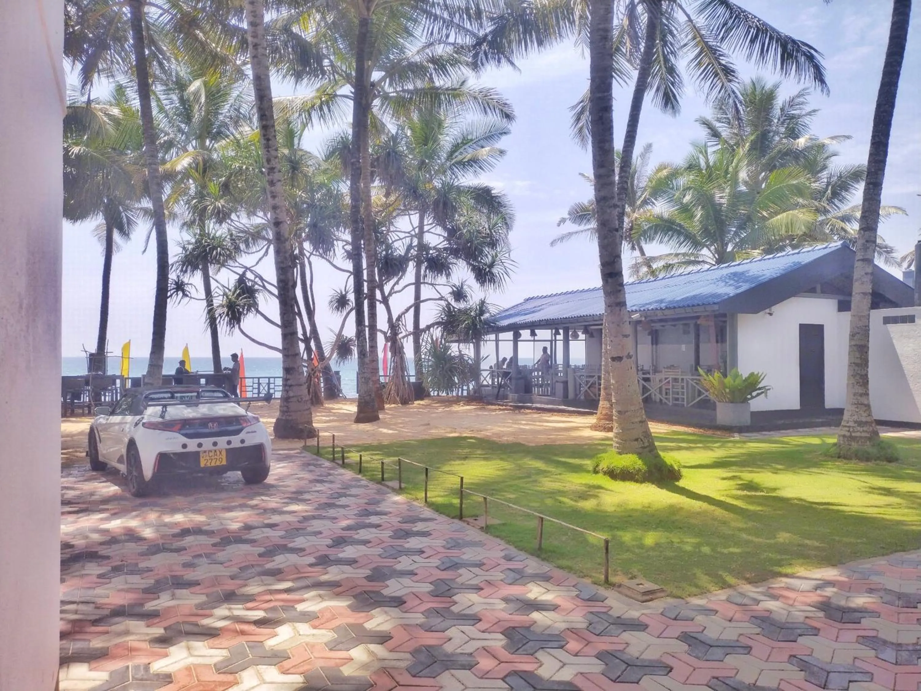 Natural landscape in DALAWELLA BEACH RESORT