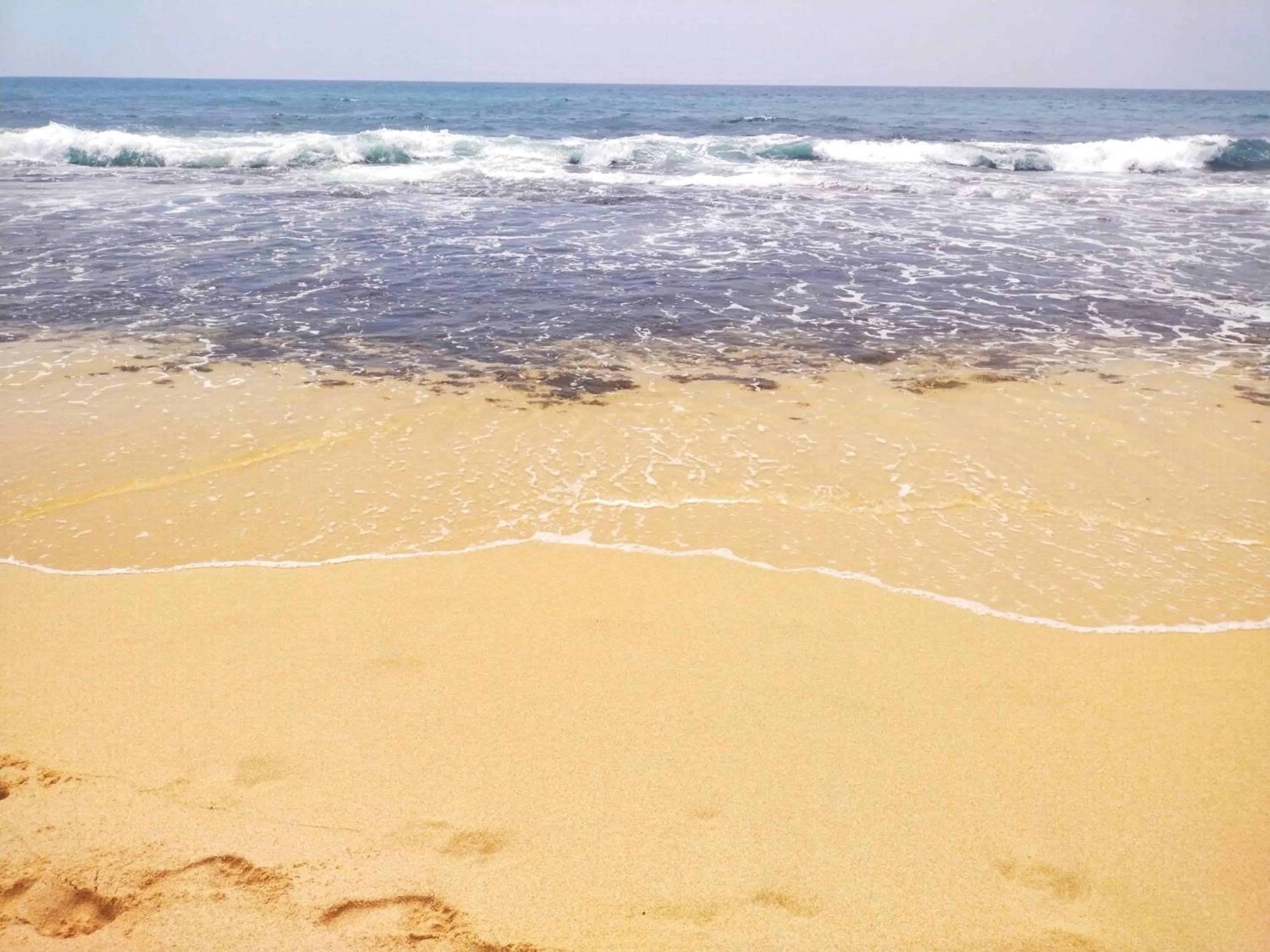 Beach in DALAWELLA BEACH RESORT