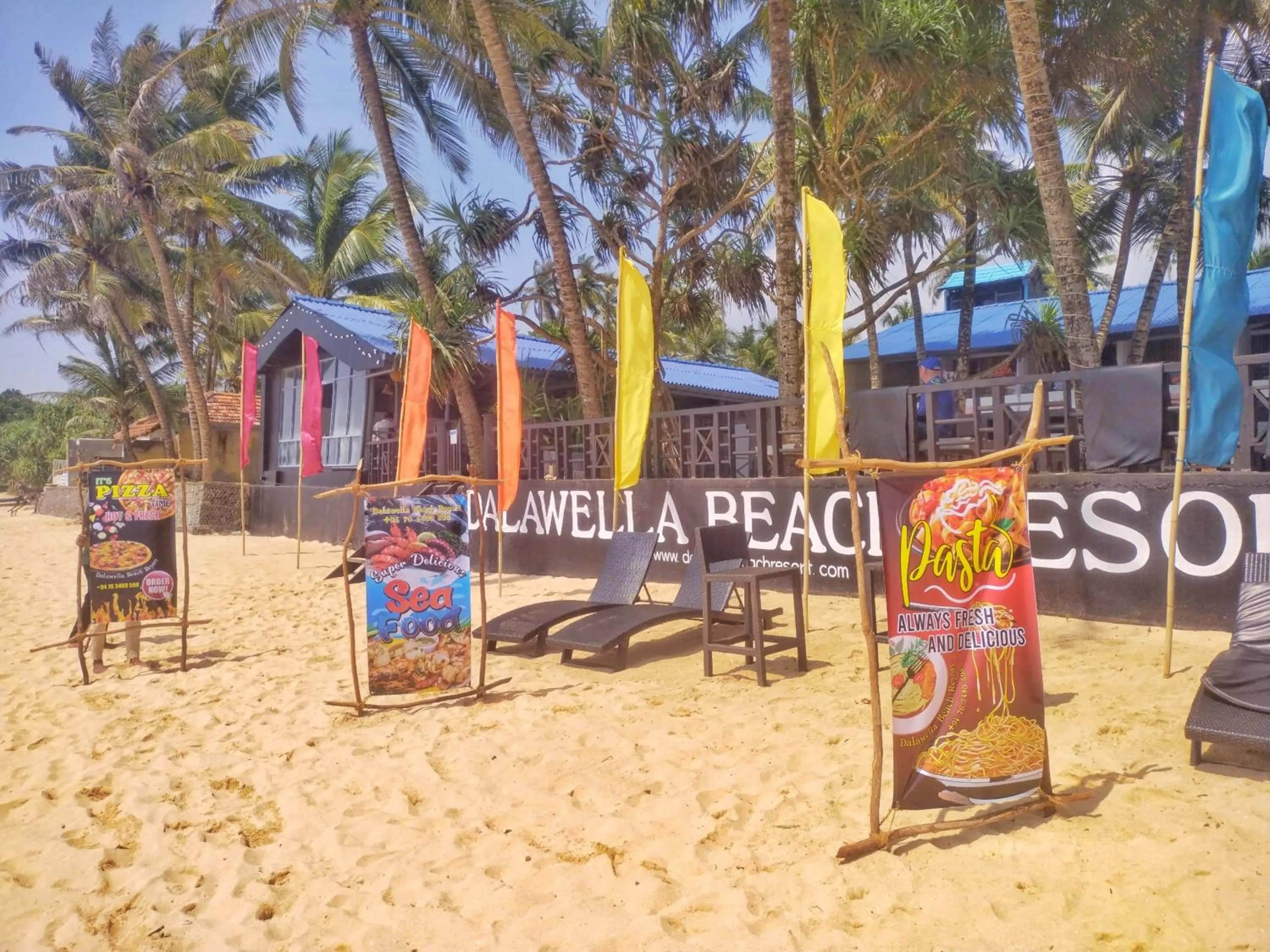 Natural landscape in DALAWELLA BEACH RESORT