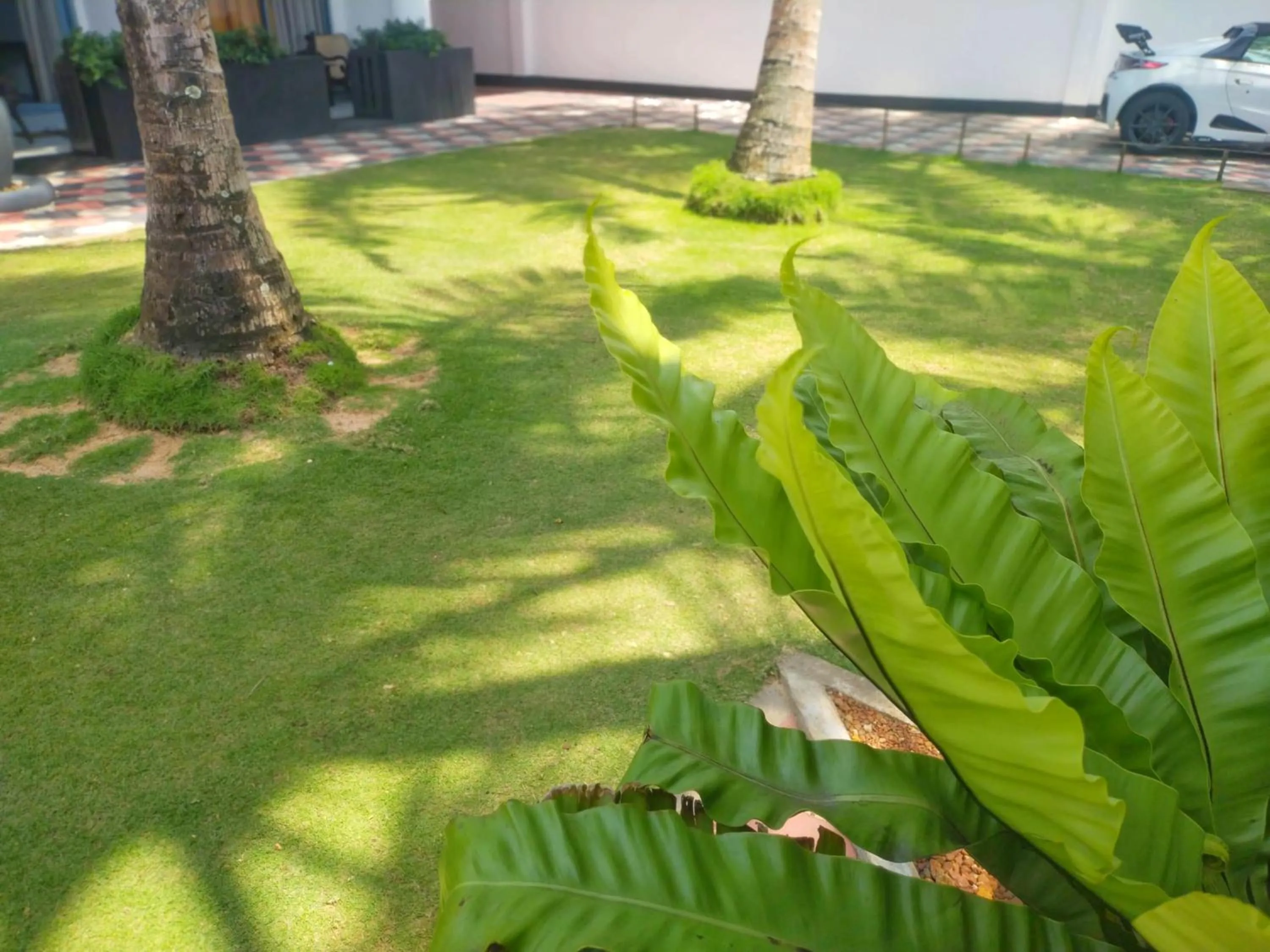 Garden view in DALAWELLA BEACH RESORT