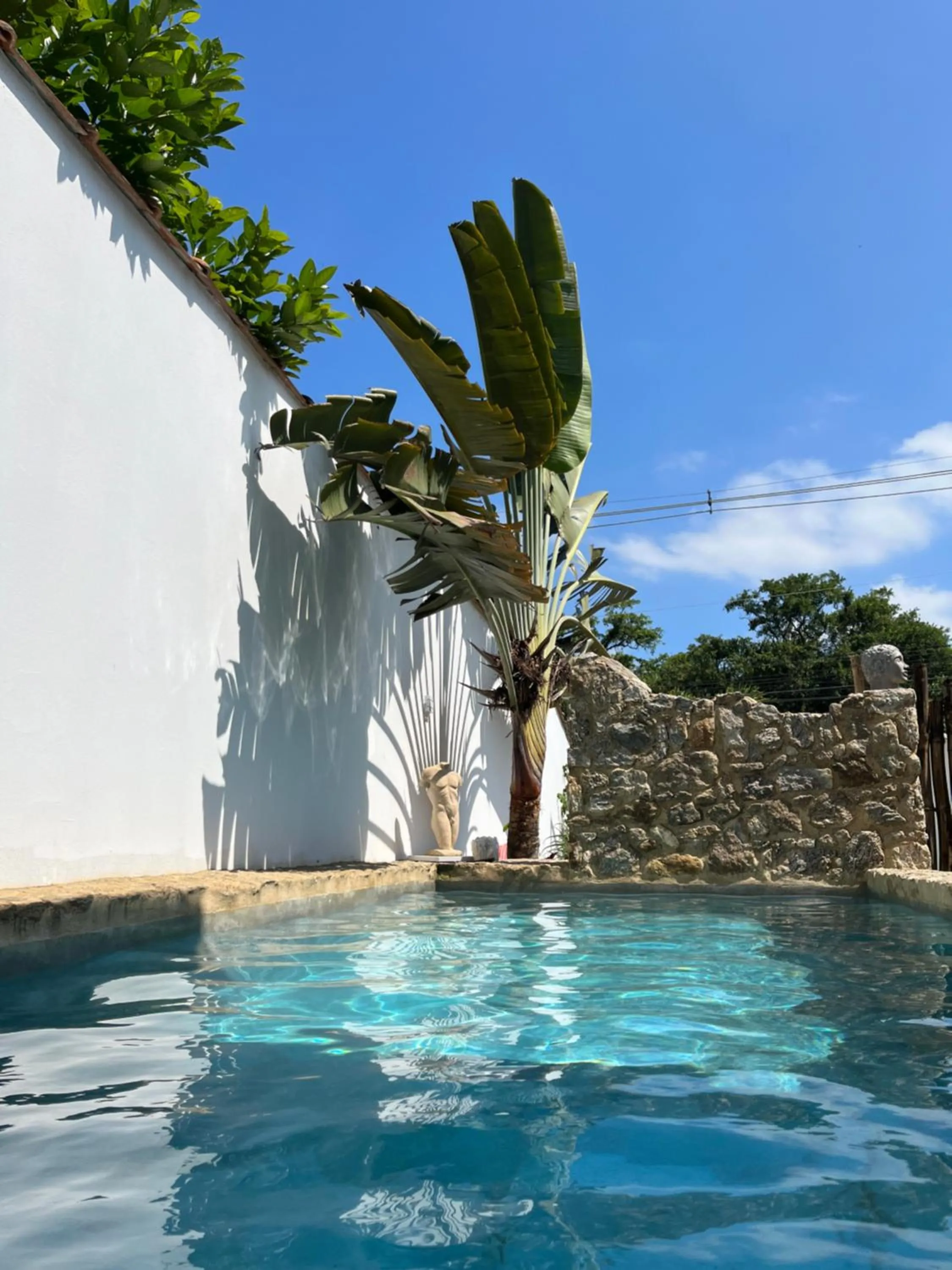 Swimming pool in Casa Arte Cabore