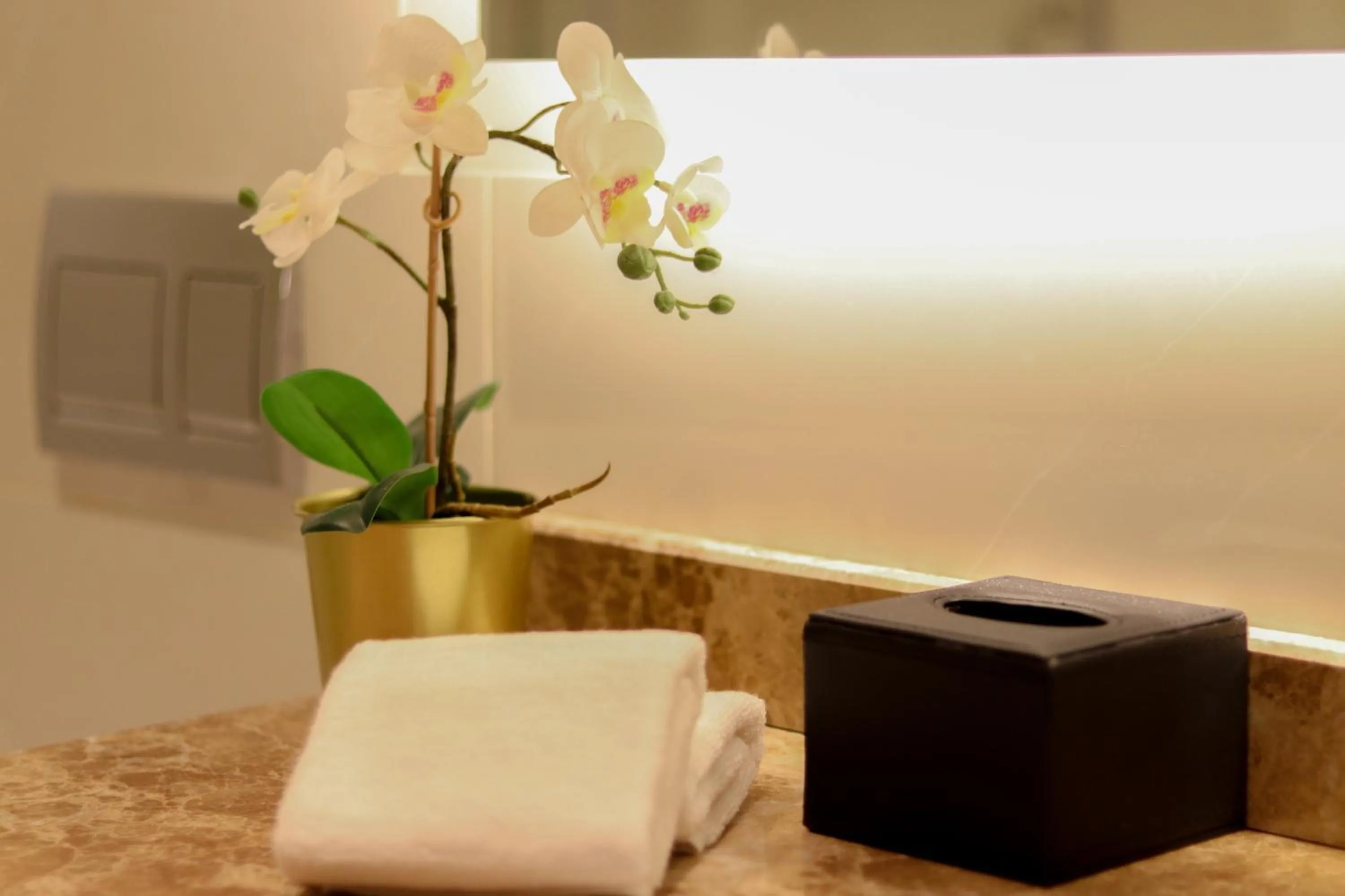 towels in Savoye Hotel