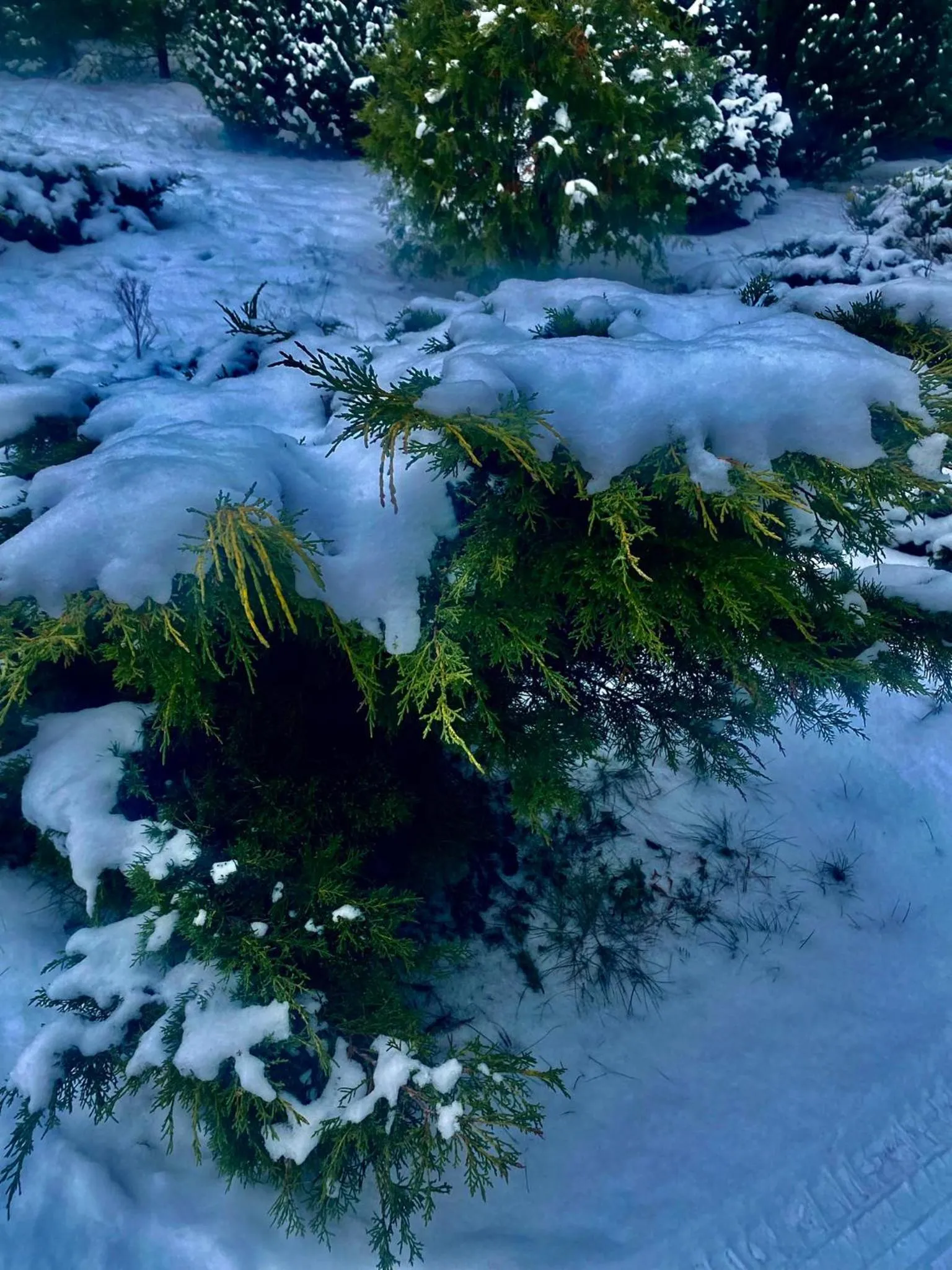 Natural landscape in Hotel Kos
