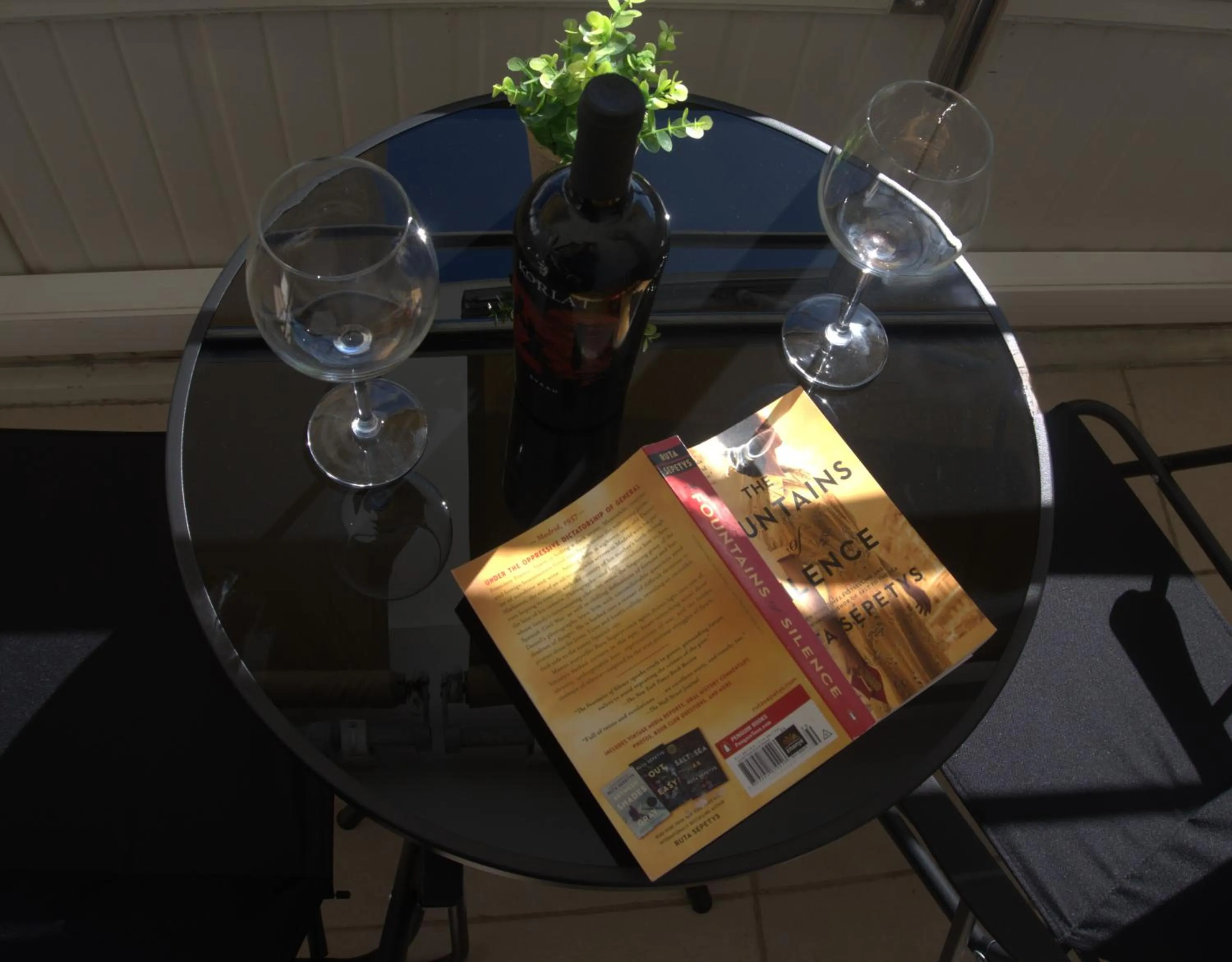 Balcony/Terrace in Guest House Maritimo