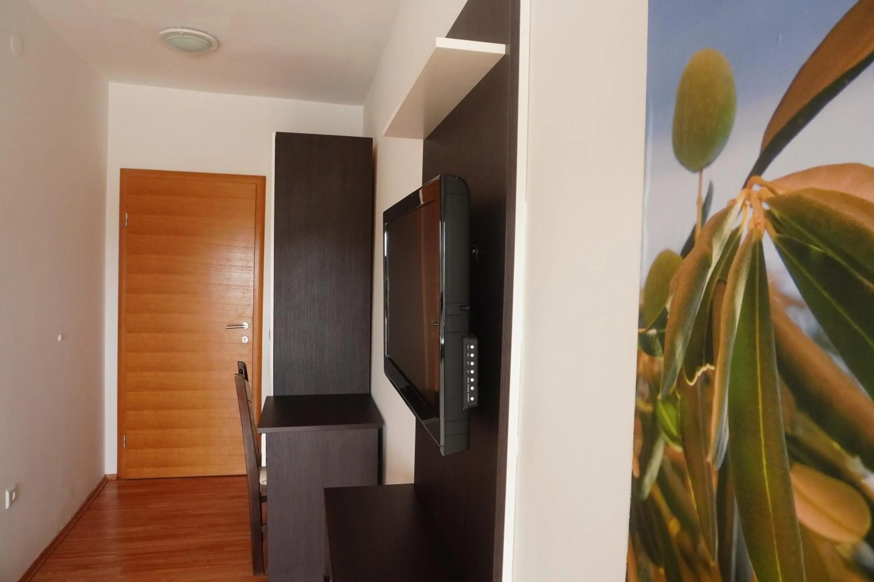 TV and multimedia in Guest House Maritimo