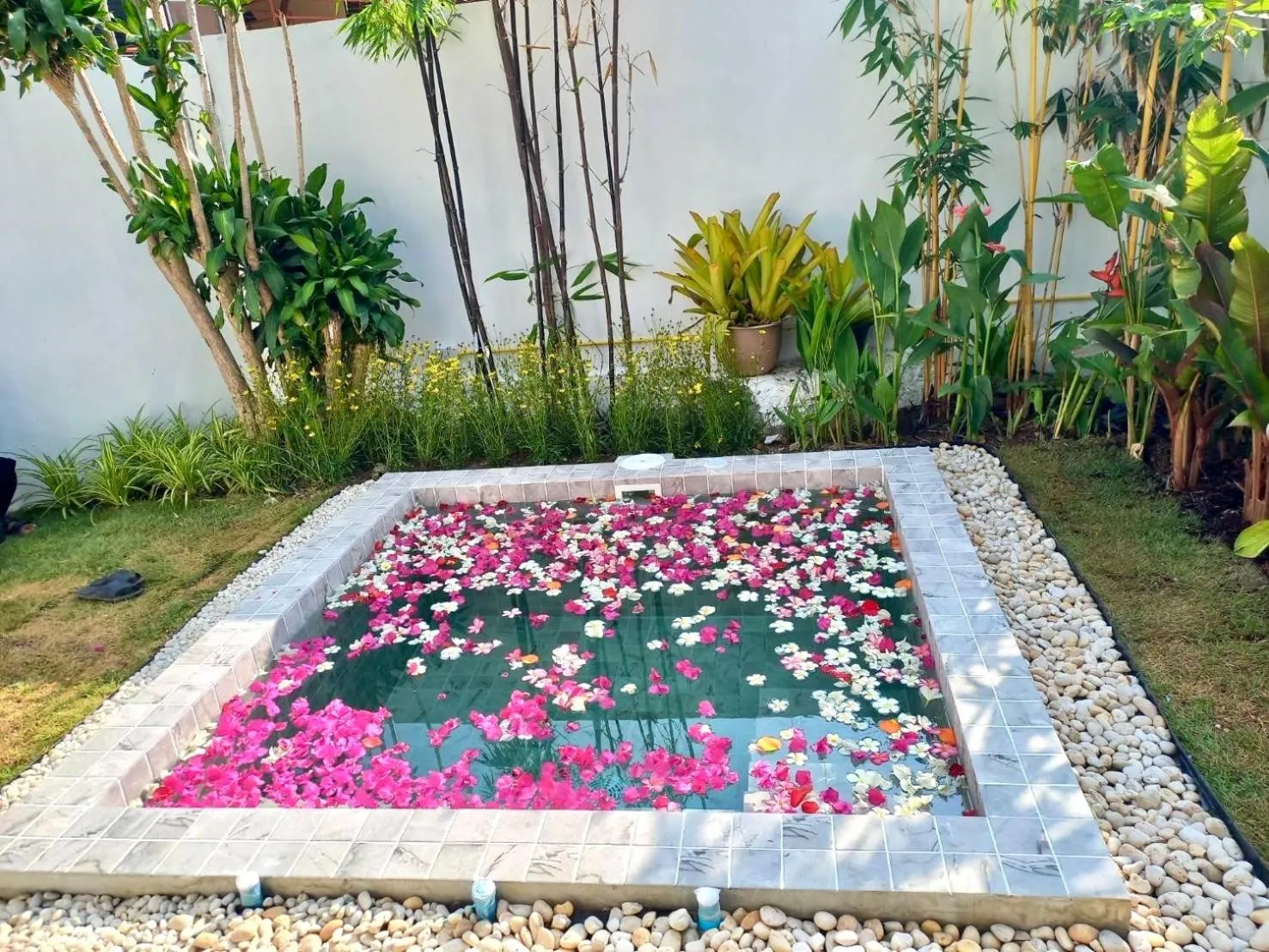 Garden view in Baan Saint-Tropez Seaview Villas Kata Beach