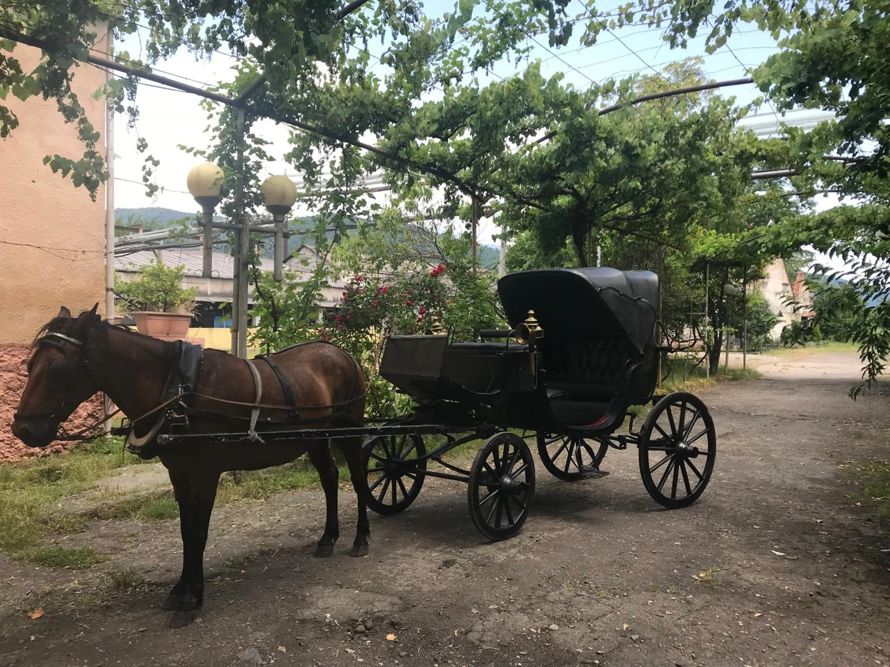 Horse-riding in Chateau Eniseli